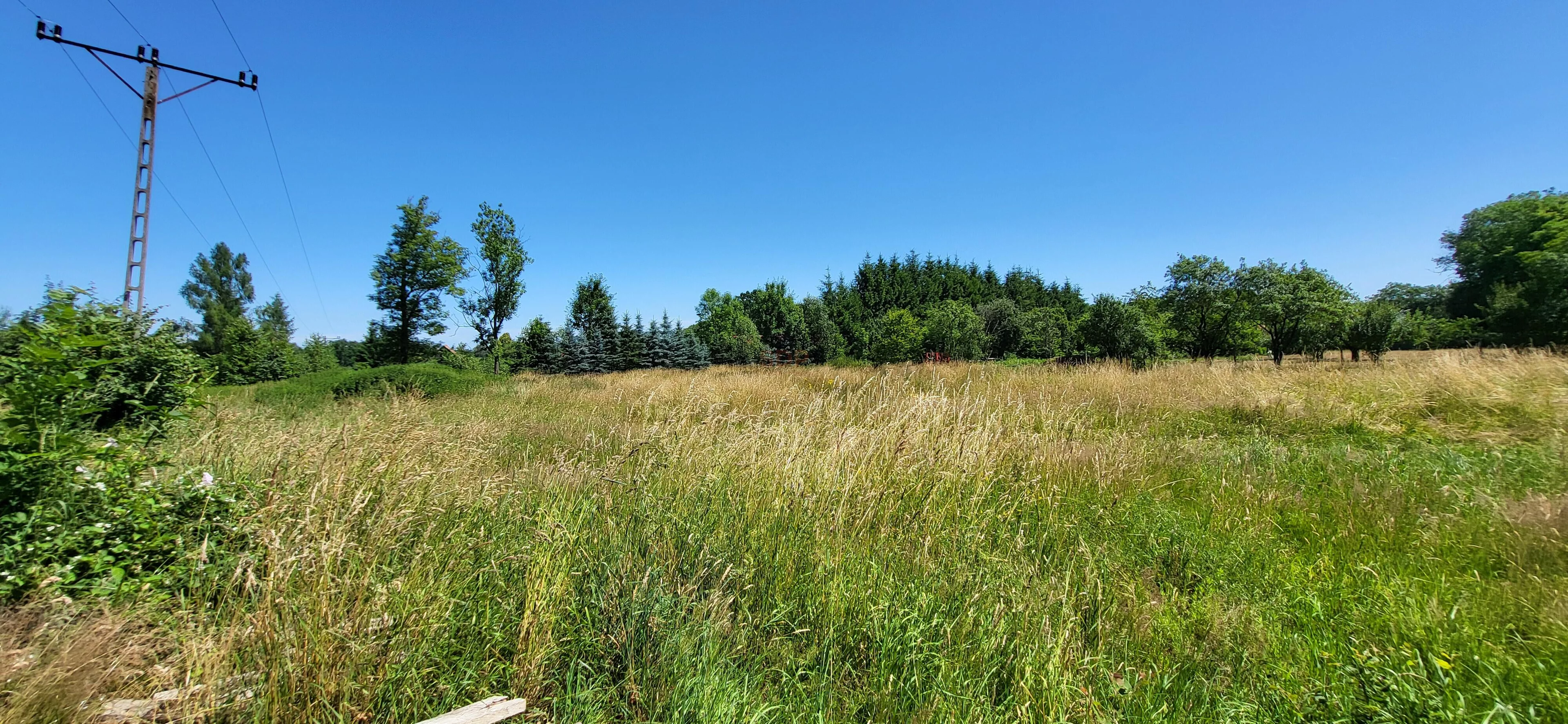 Działka 4 254,00 m², oferta nr , 41884, Grabiszyce Górne