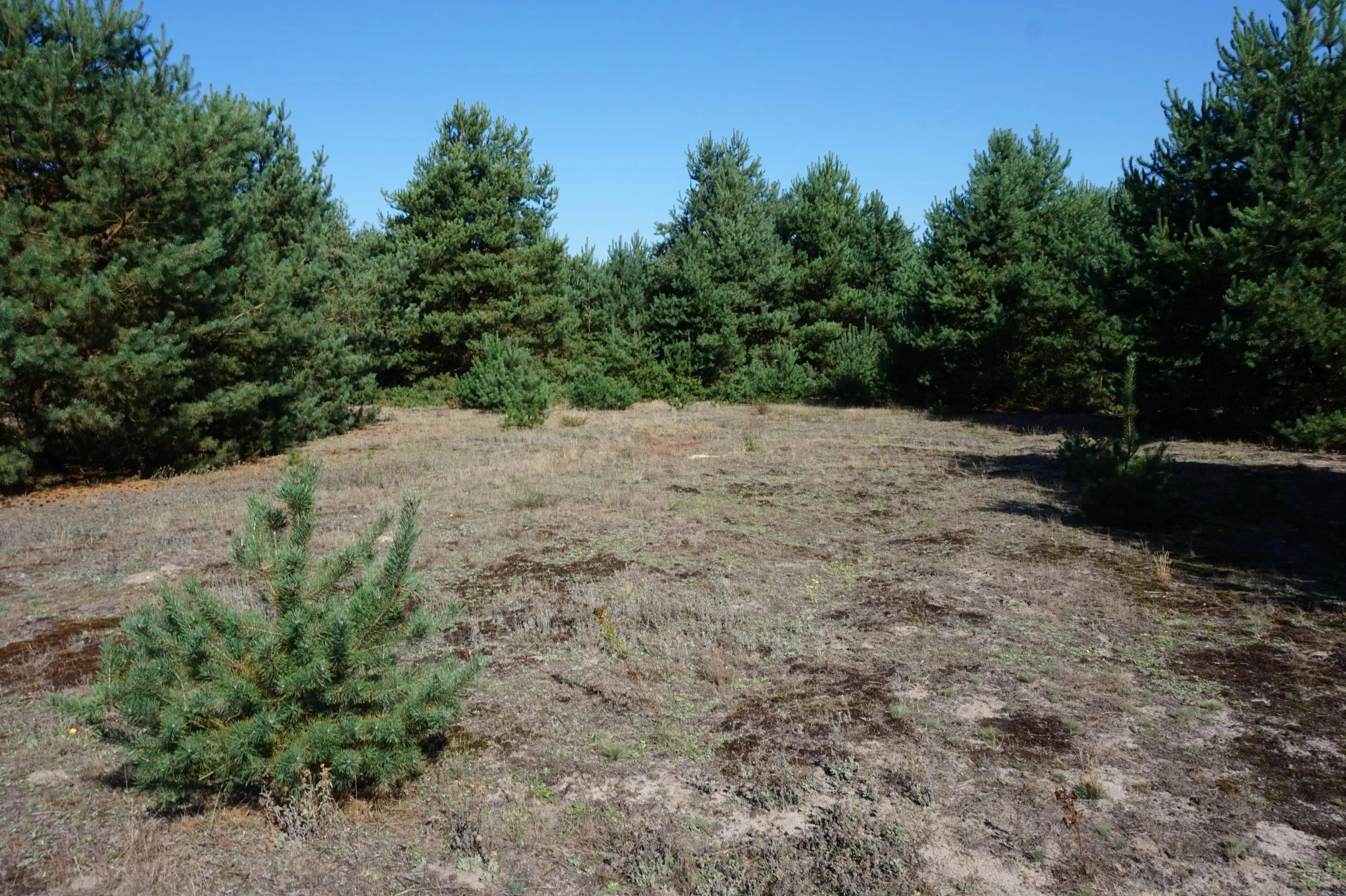 Działka 3 071,00 m², oferta nr , 13017, Janiszów