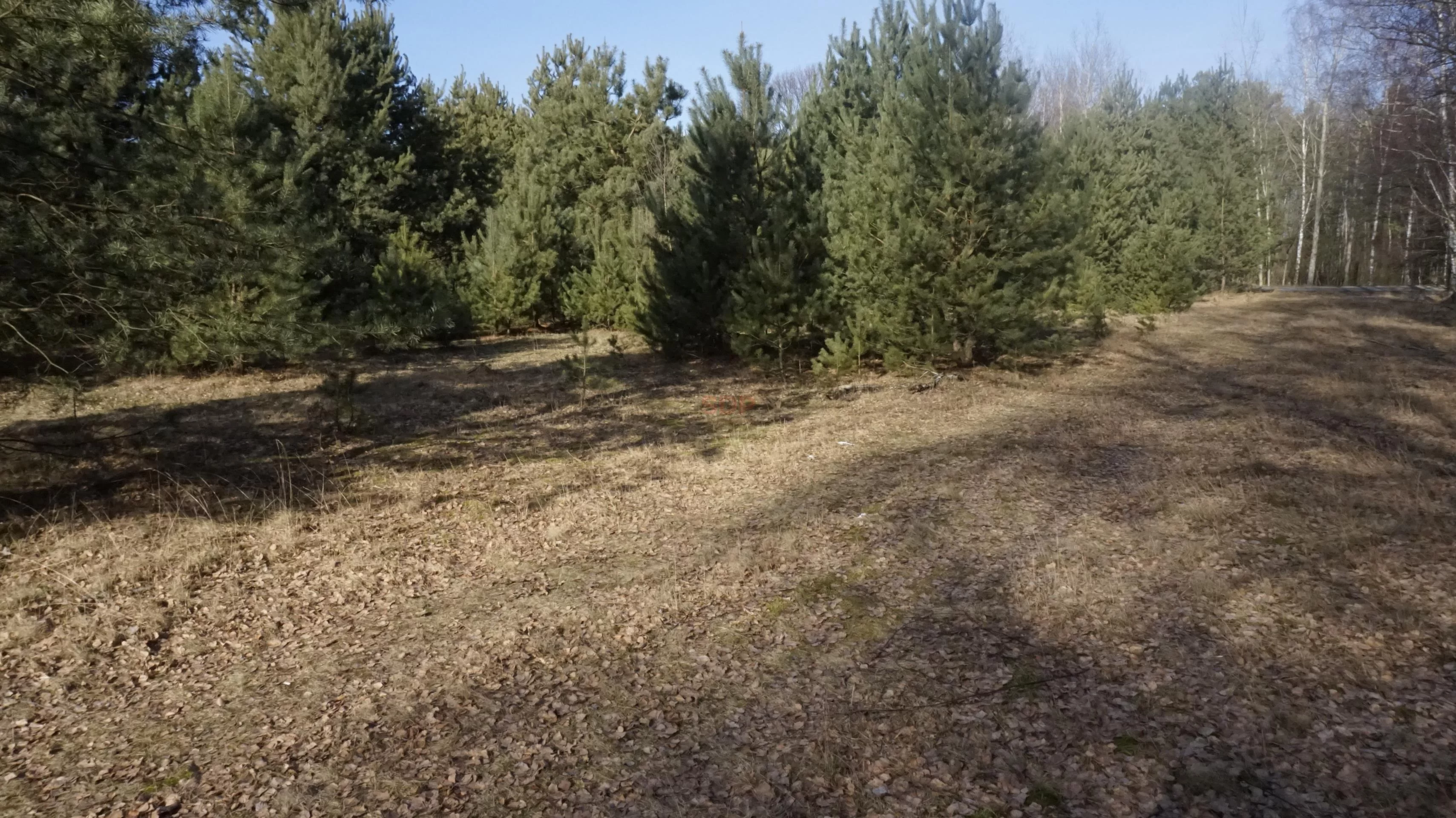 Działka 3 071,00 m², oferta nr , 13017, Janiszów
