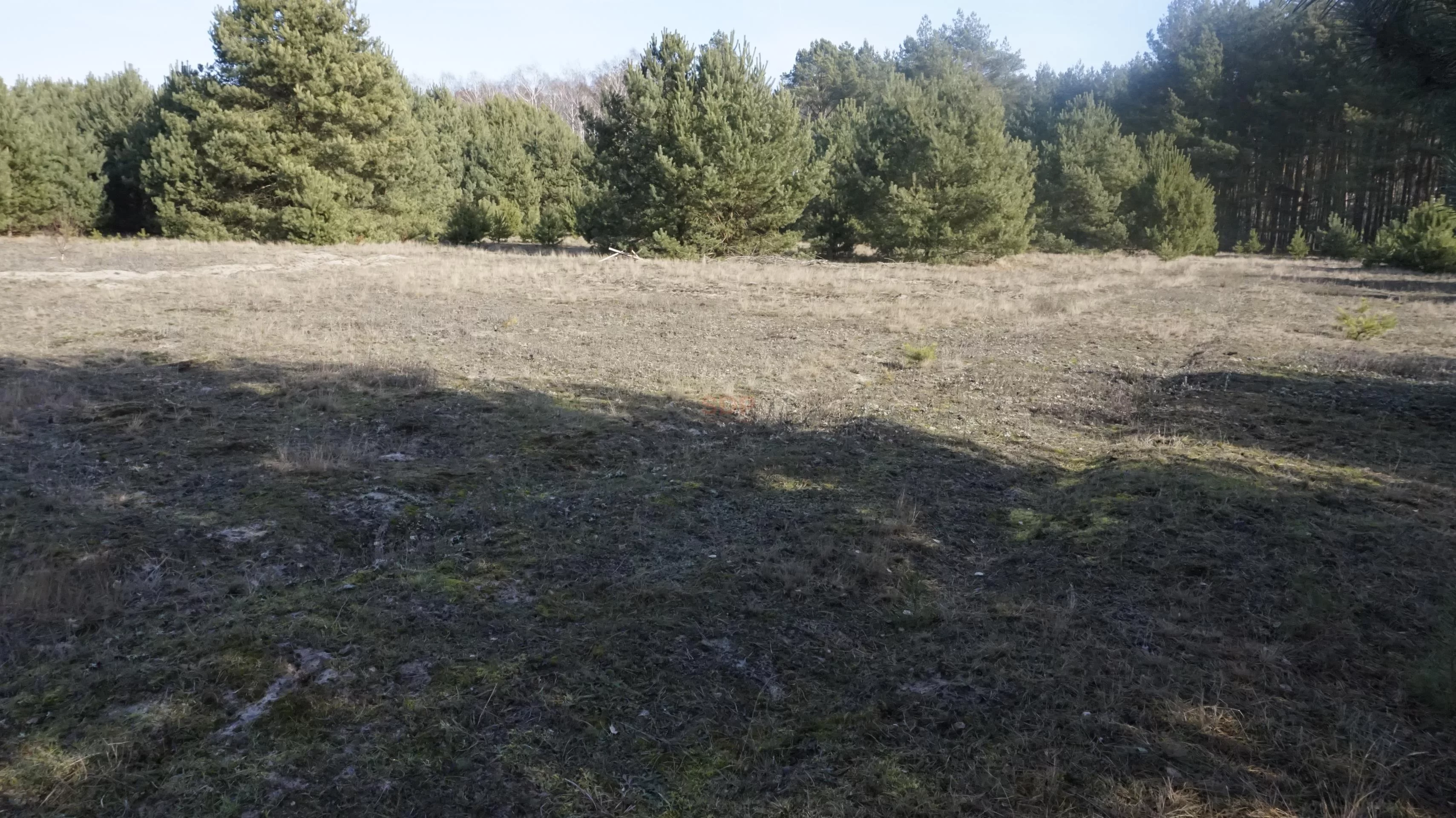 Działka 3 071,00 m², oferta nr , 13017, Janiszów