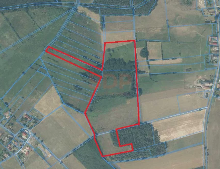 Działka 121 000,00 m², Jędrzychówek, Sprzedaż