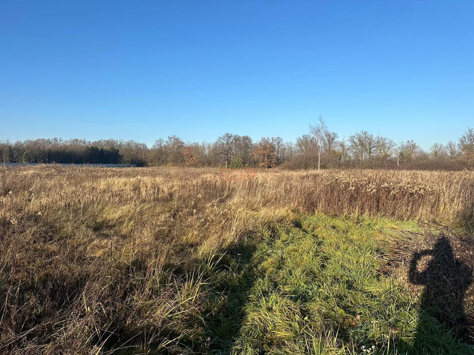 Działka 1 190,00 m², oferta nr , 38092, Żurawiniec, Kasztanowa
