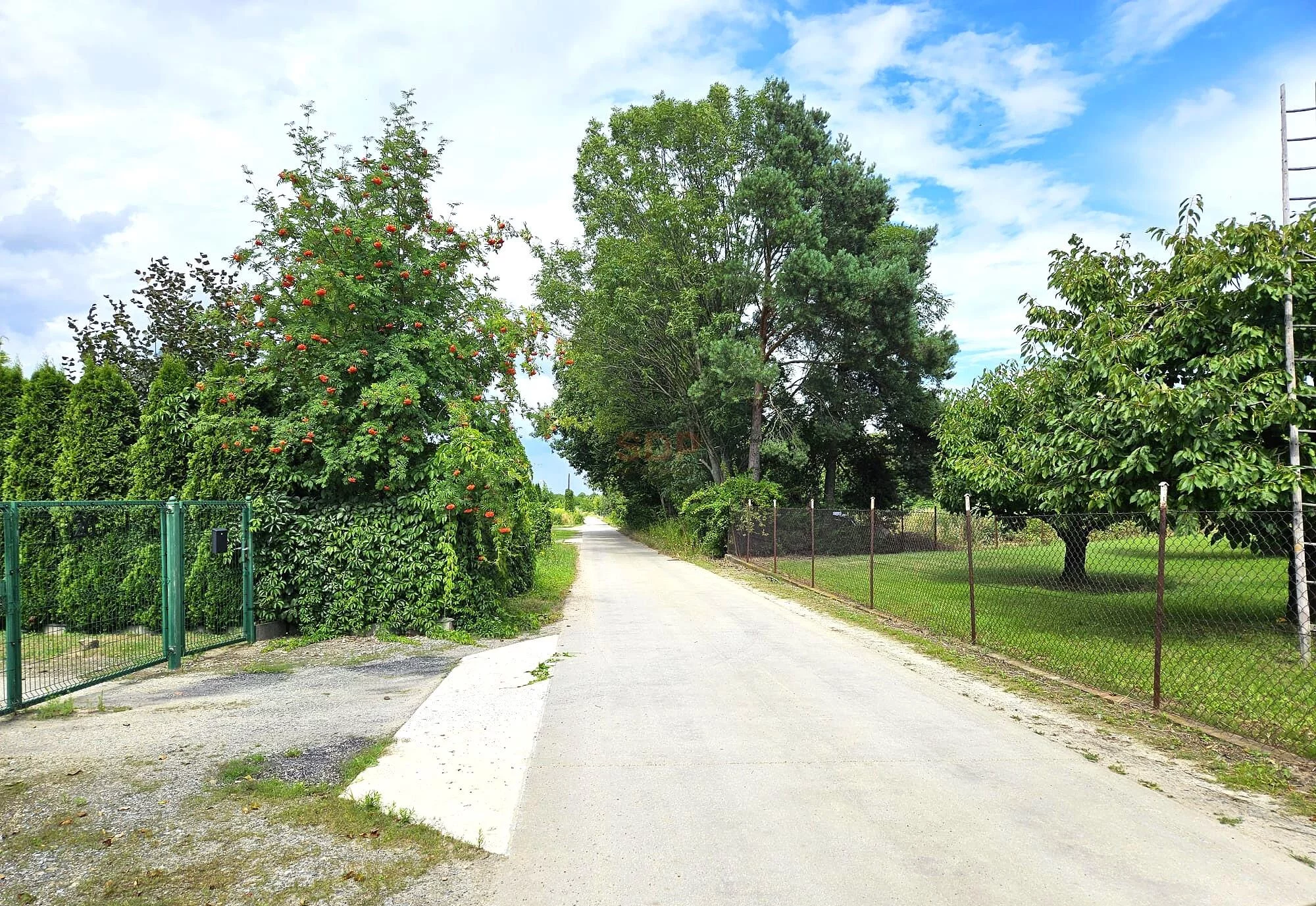 42267 - zdjęcie nr 3