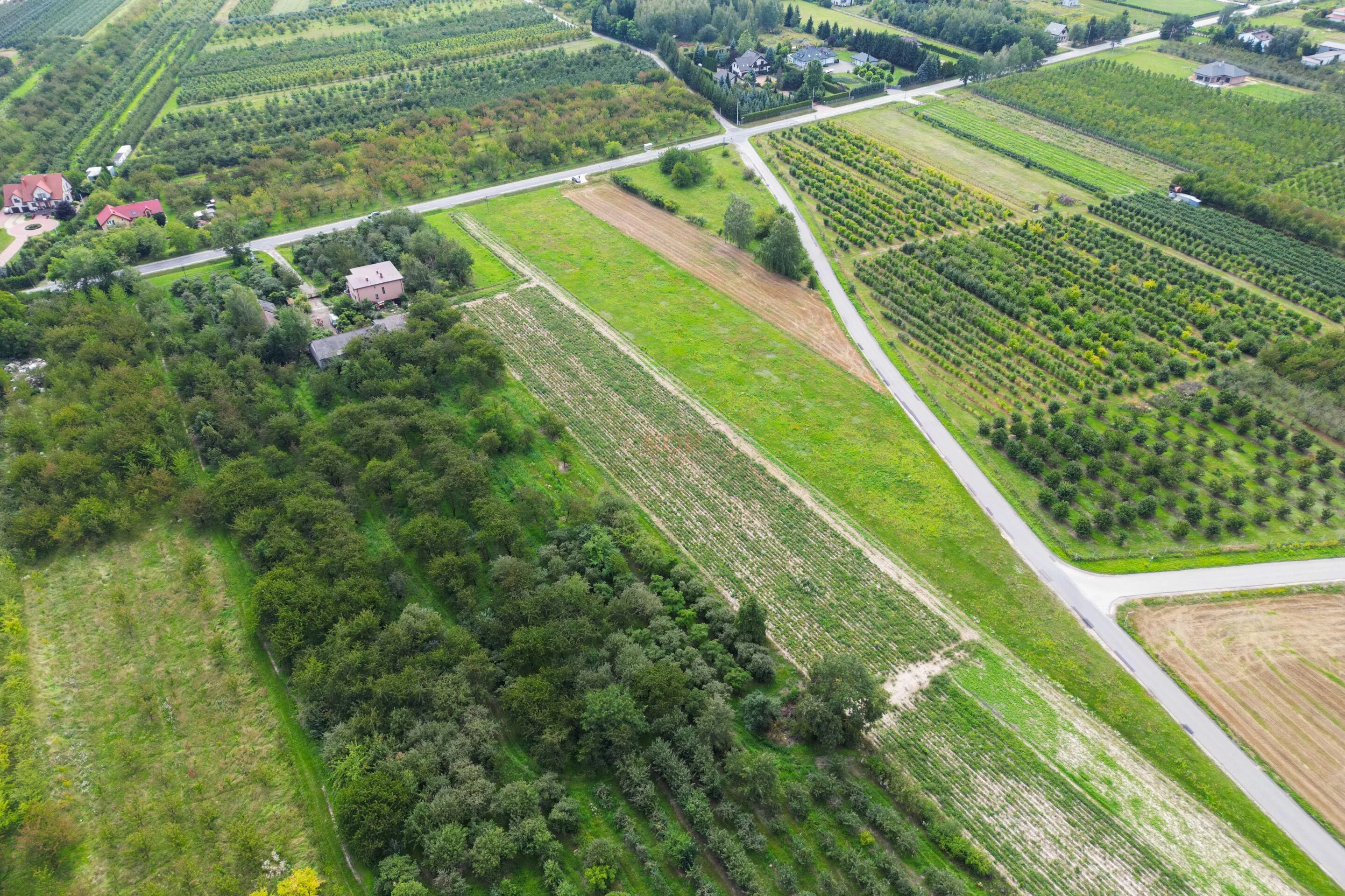 Działka 16 800,00 m², oferta nr , 42257, Marianka