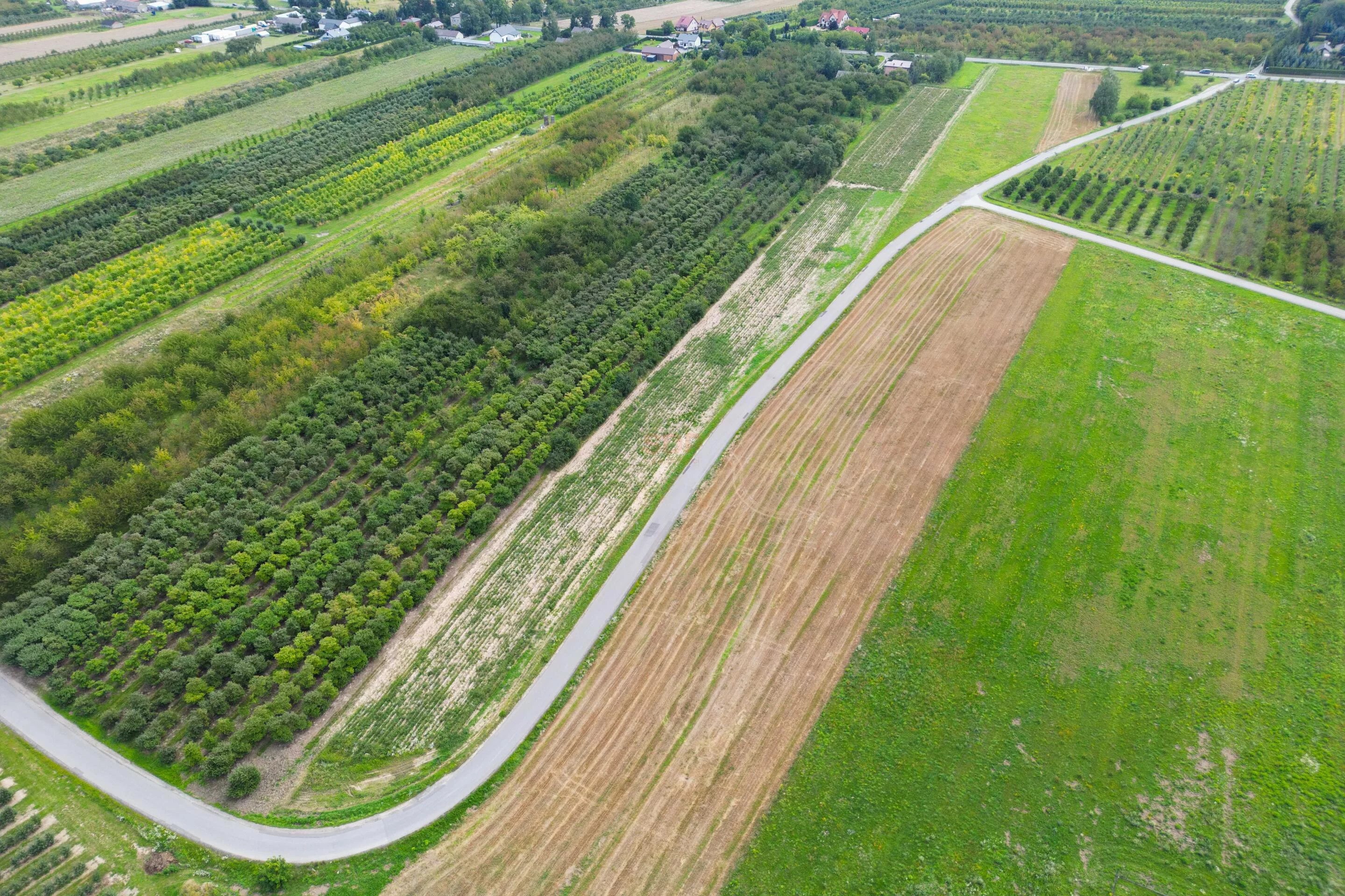 Działka 16 800,00 m², oferta nr , 42257, Marianka