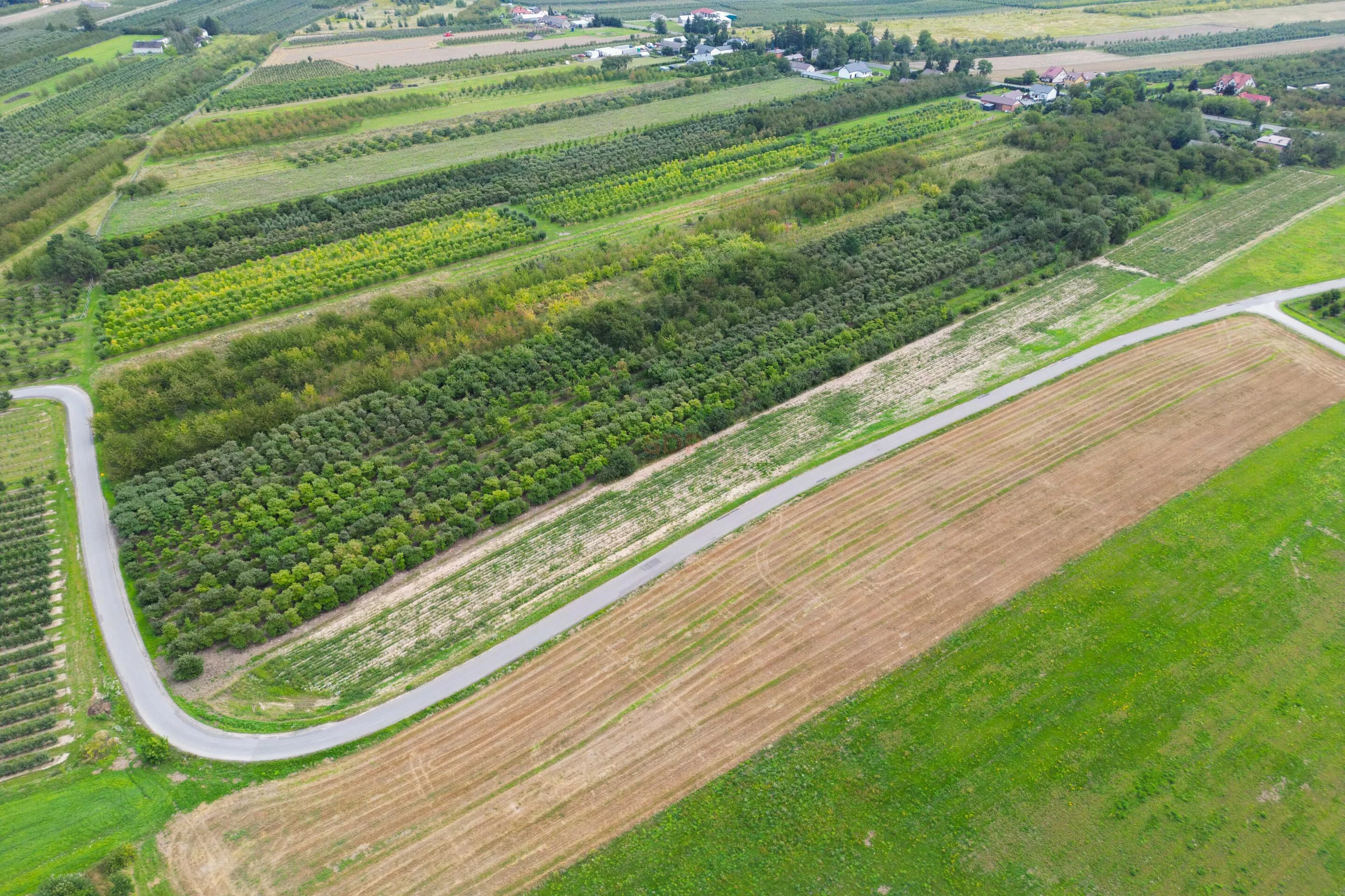 Działka 16 800,00 m², oferta nr , 42257, Marianka