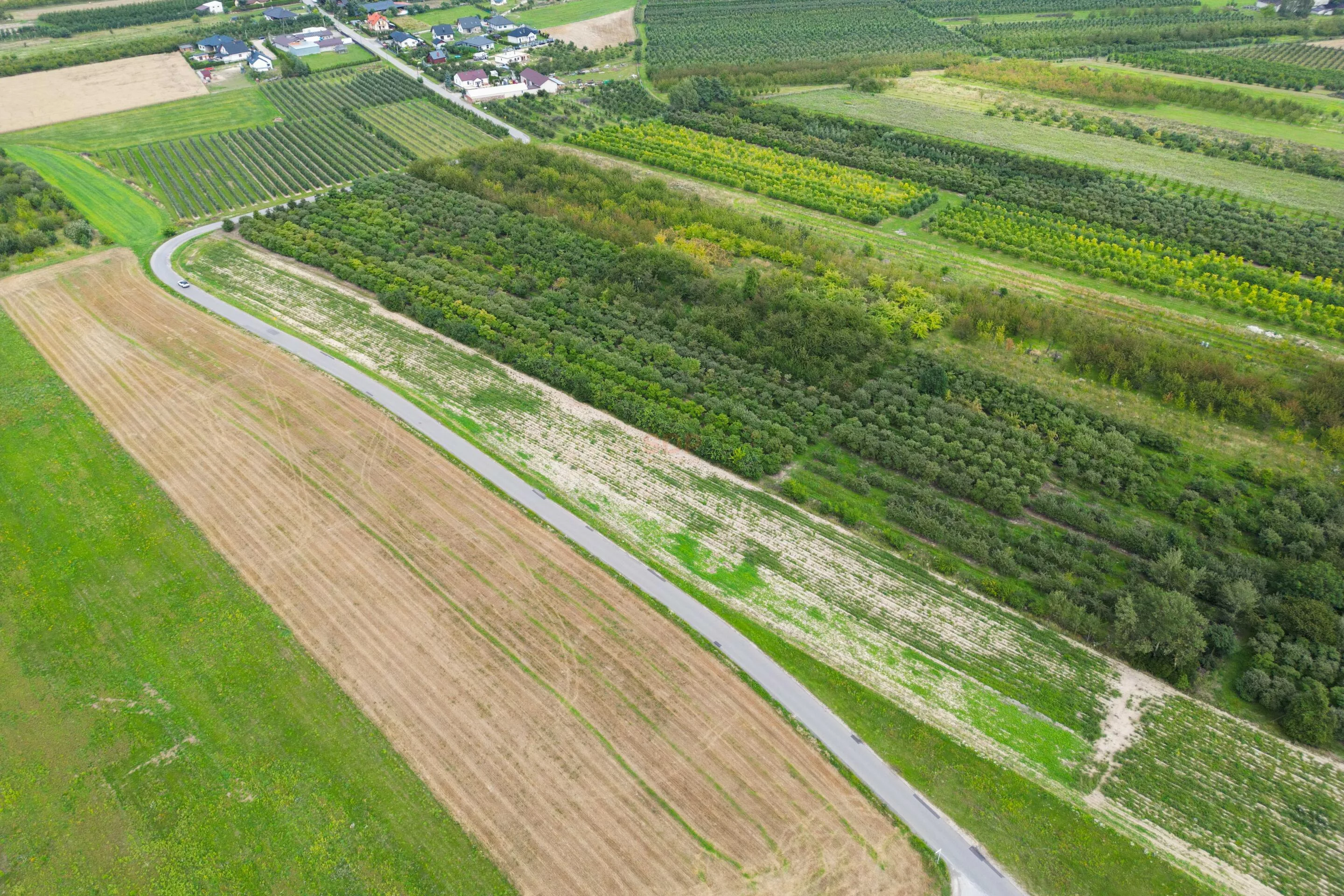 Działka 16 800,00 m², oferta nr , 42257, Marianka