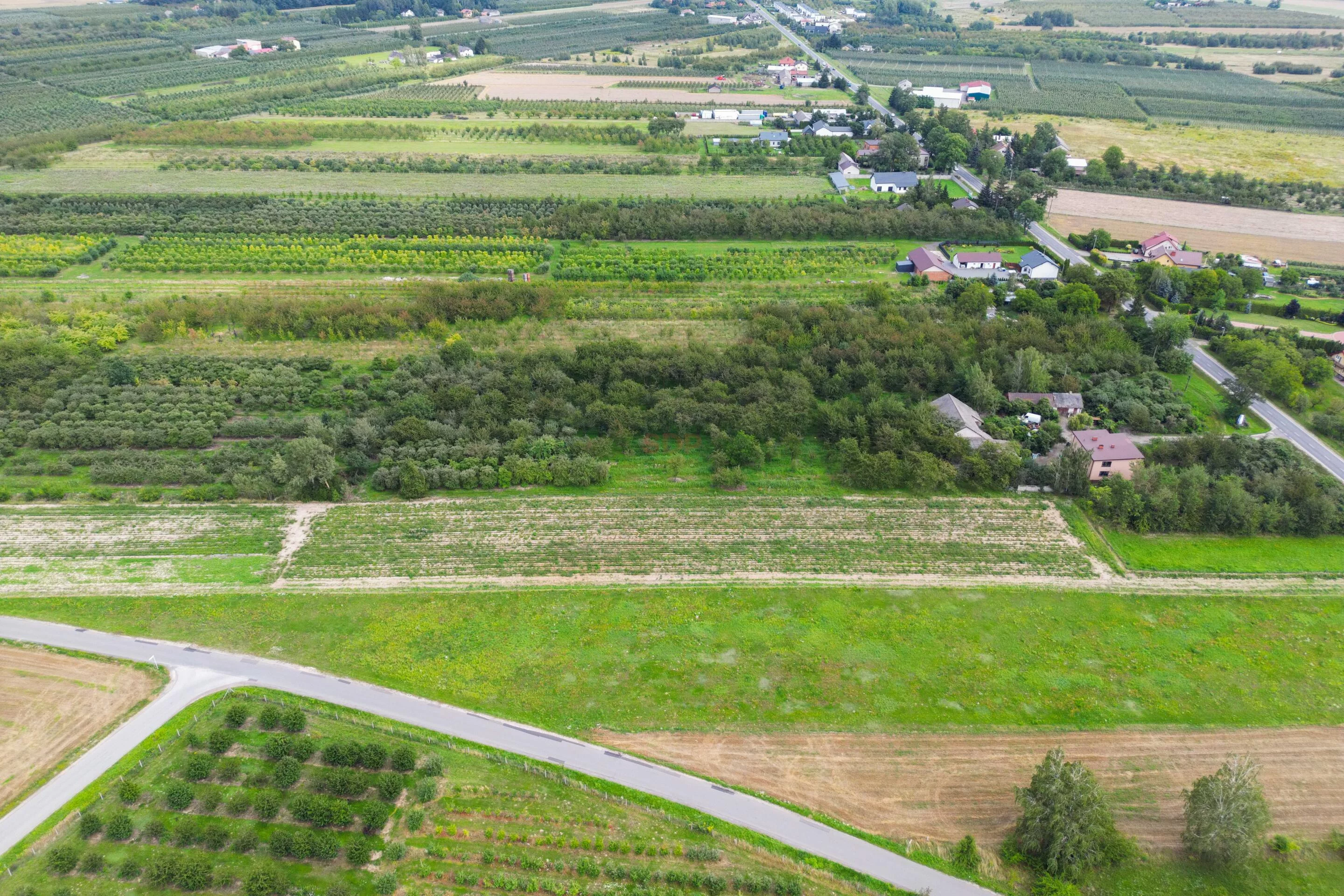 Działka 16 800,00 m², oferta nr , 42257, Marianka