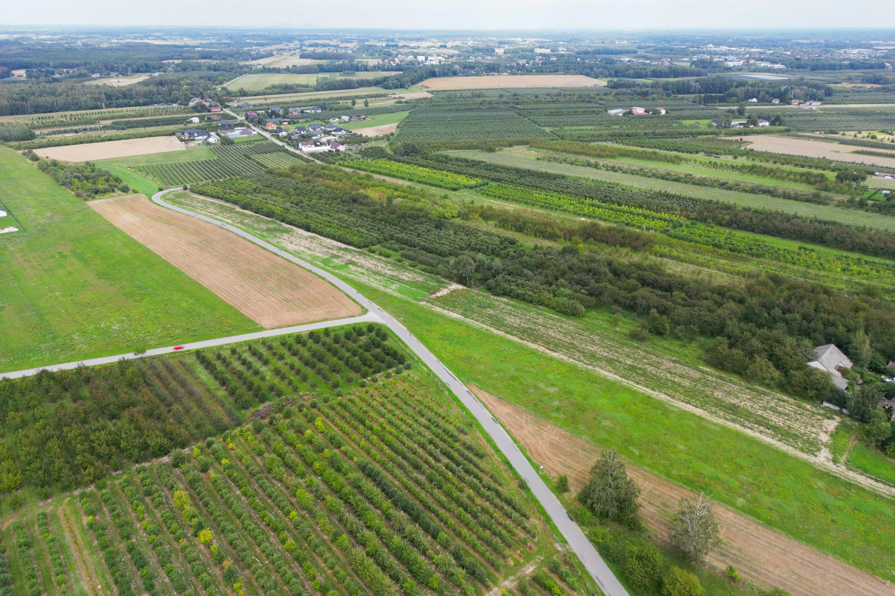 Działka 16 800,00 m², oferta nr , 42257, Marianka