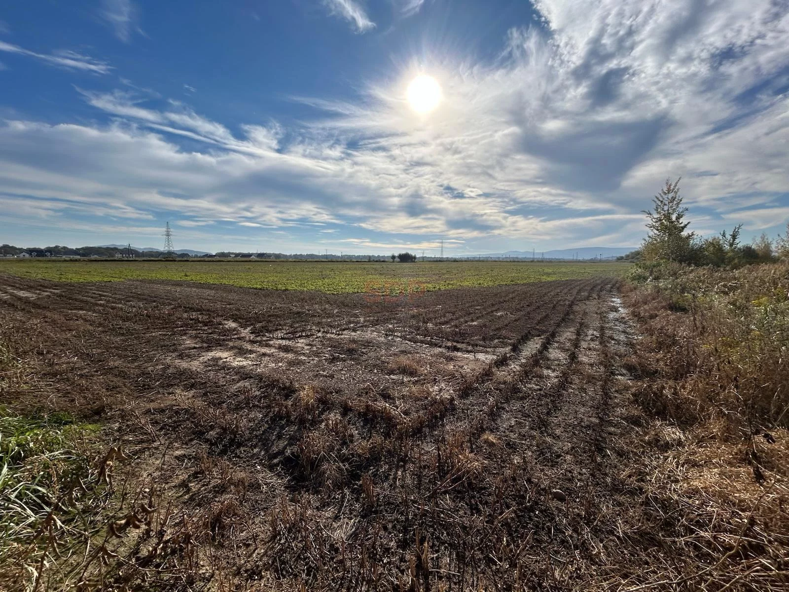 Działka 26 723,00 m², oferta nr , 37829, Świdnica, Metalowców