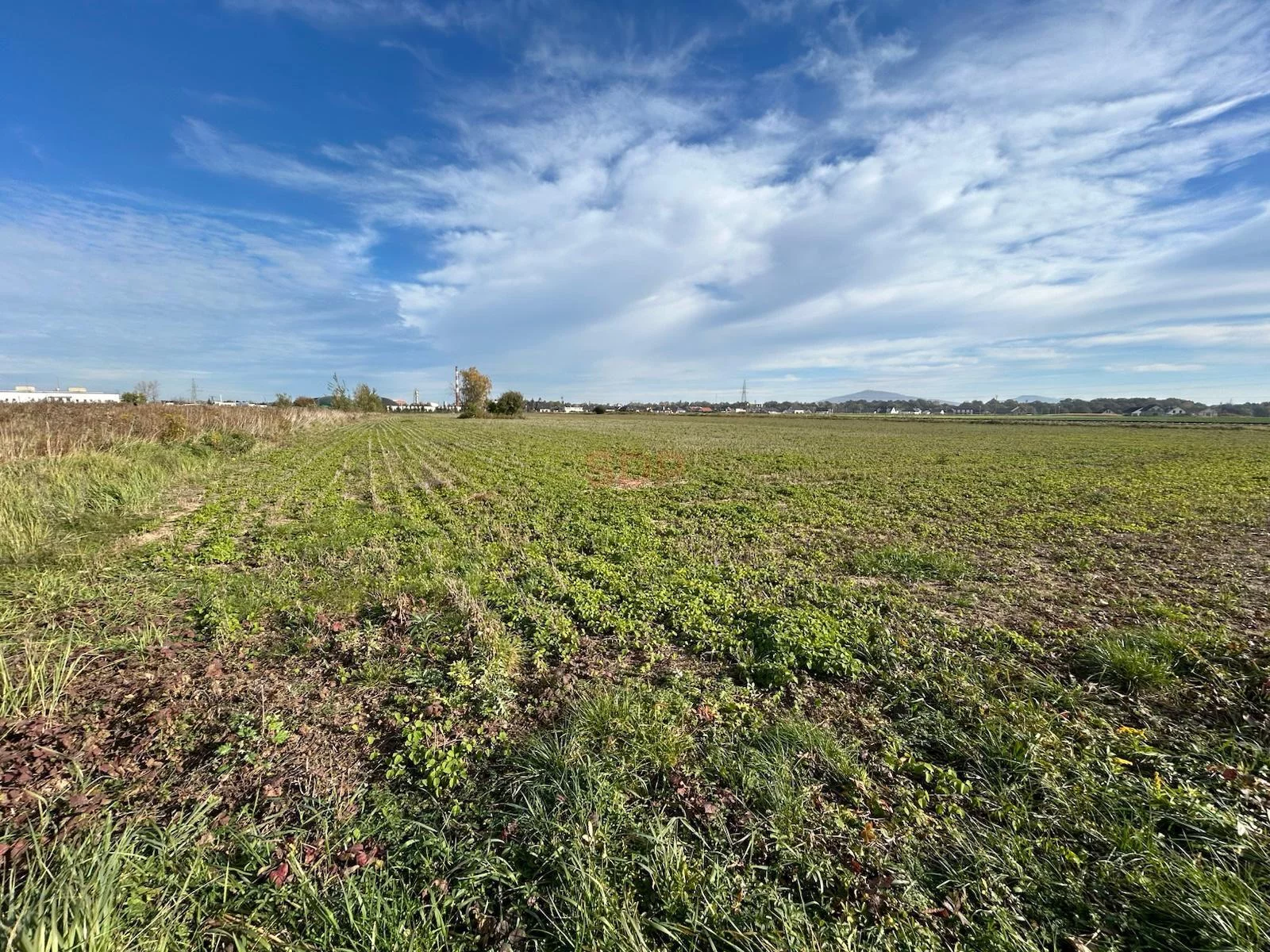 Działka 26 723,00 m², oferta nr , 37829, Świdnica, Metalowców