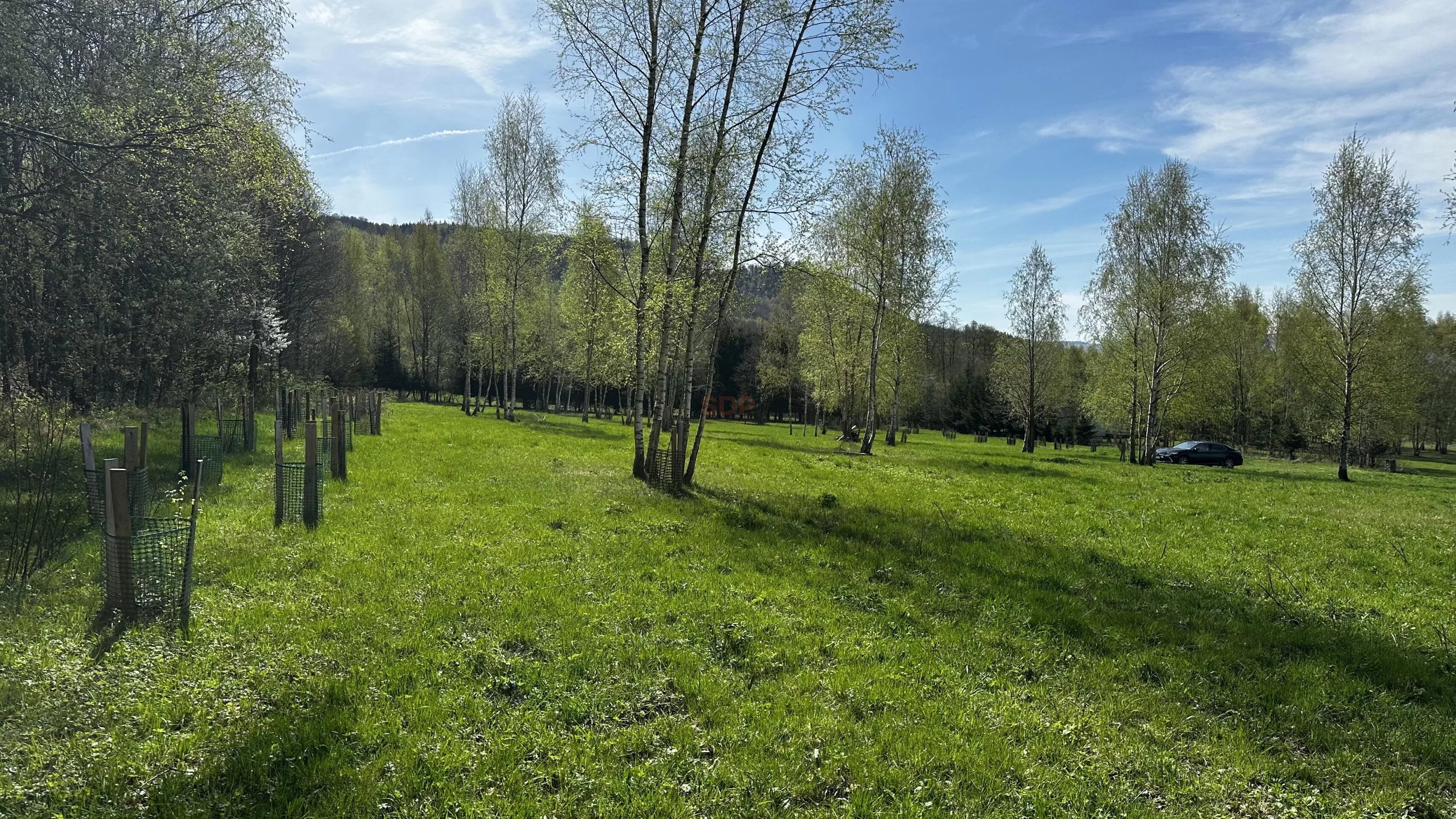 Działka 3 753,00 m², oferta nr , 42780, Nowa Wieś