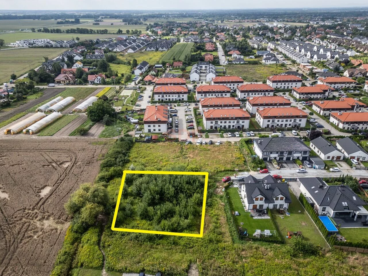 42353 - zdjęcie nr 2