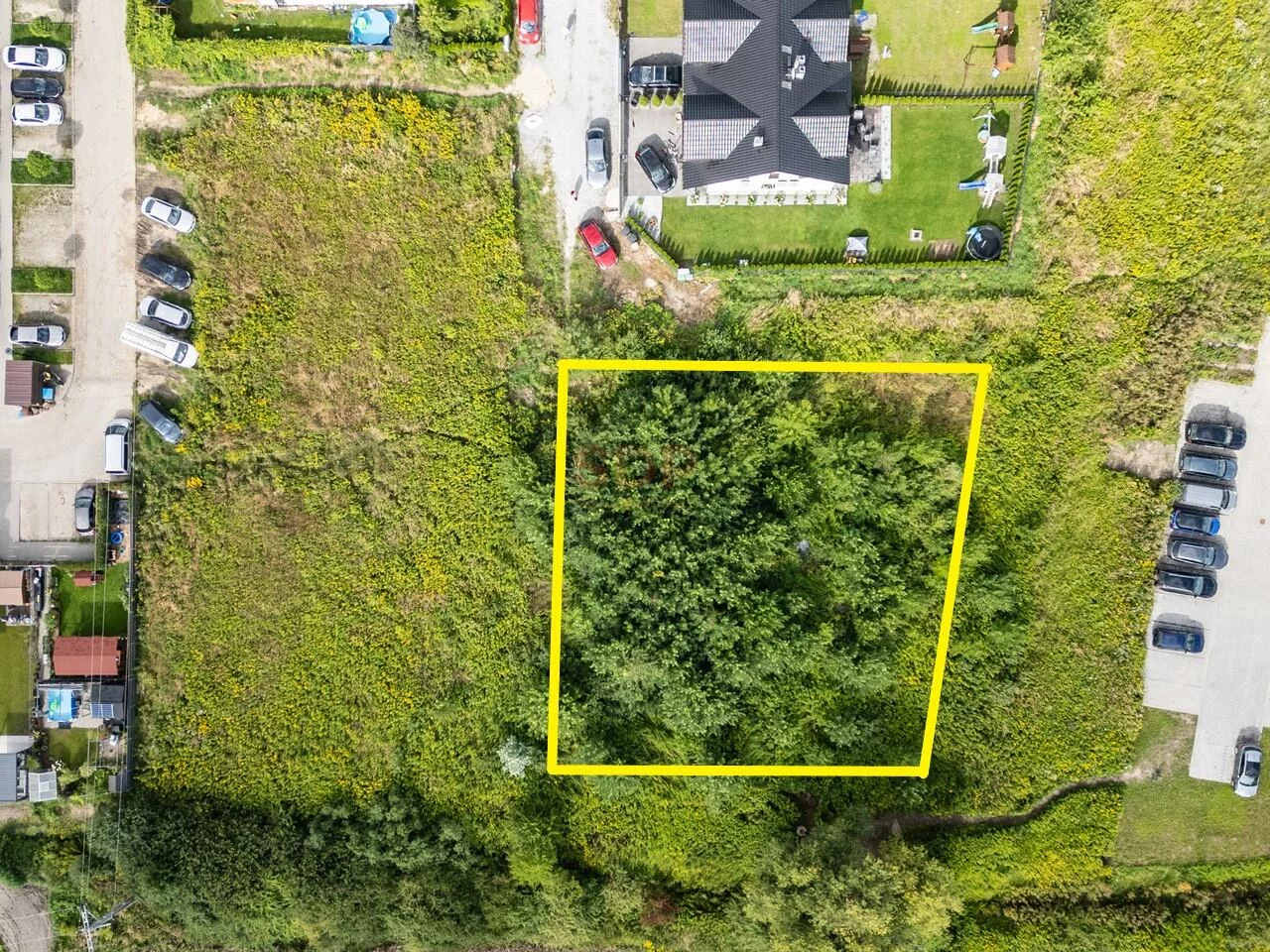 42353 - zdjęcie nr 4