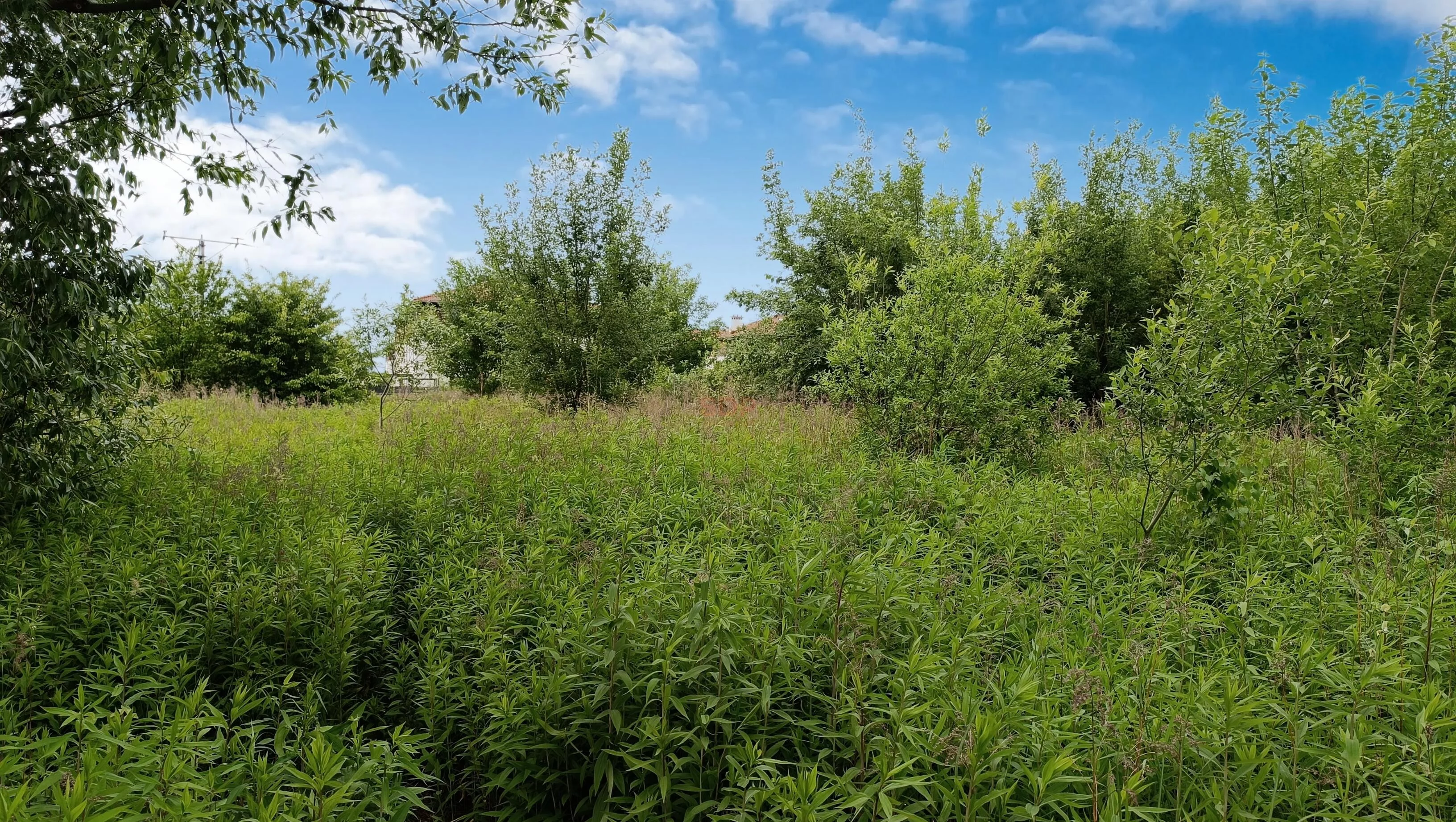 Działka 1 105,00 m², oferta nr , 42353, Kiełczów, Polna