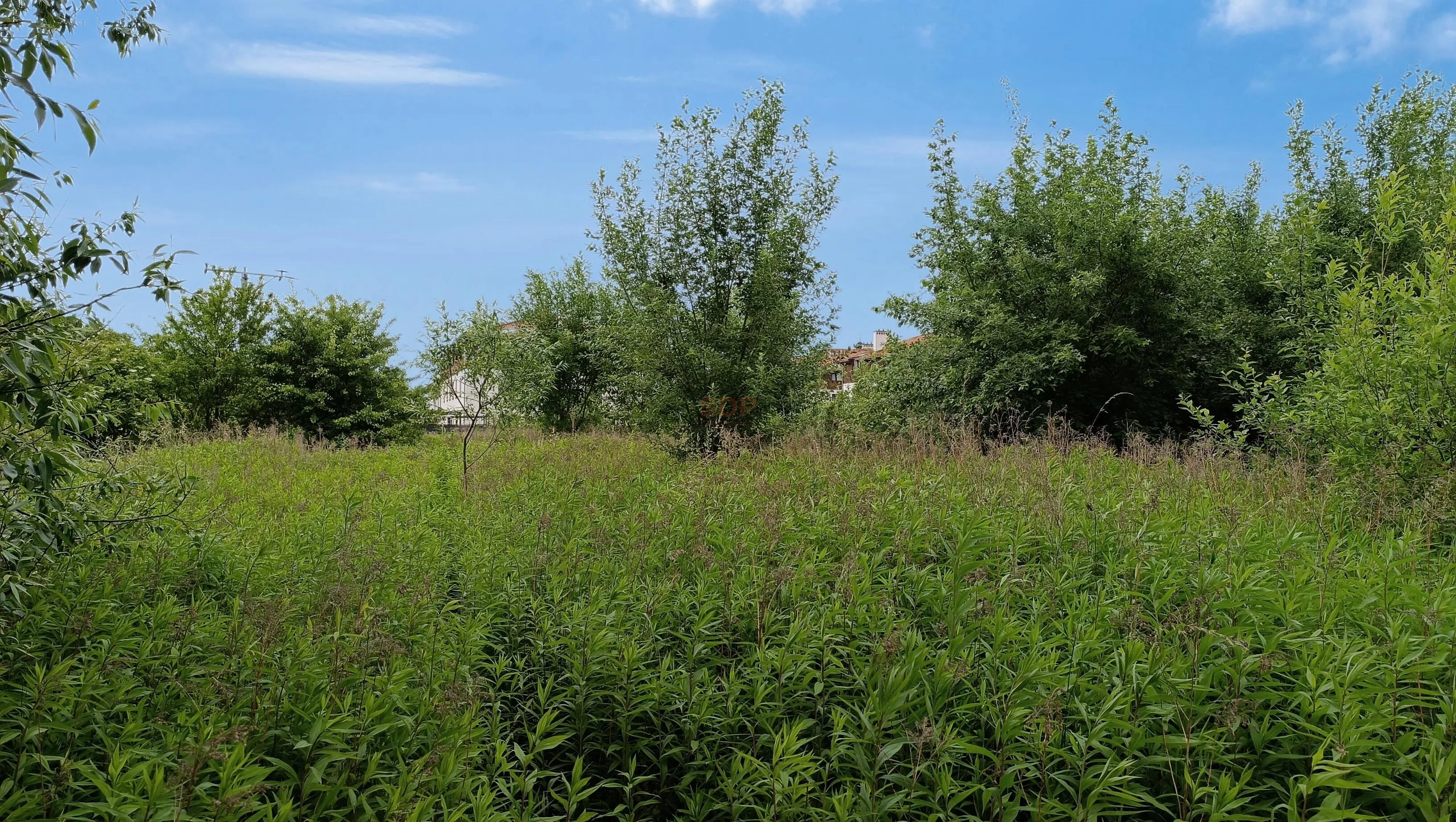 Działka 1 105,00 m², oferta nr , 42353, Kiełczów, Polna