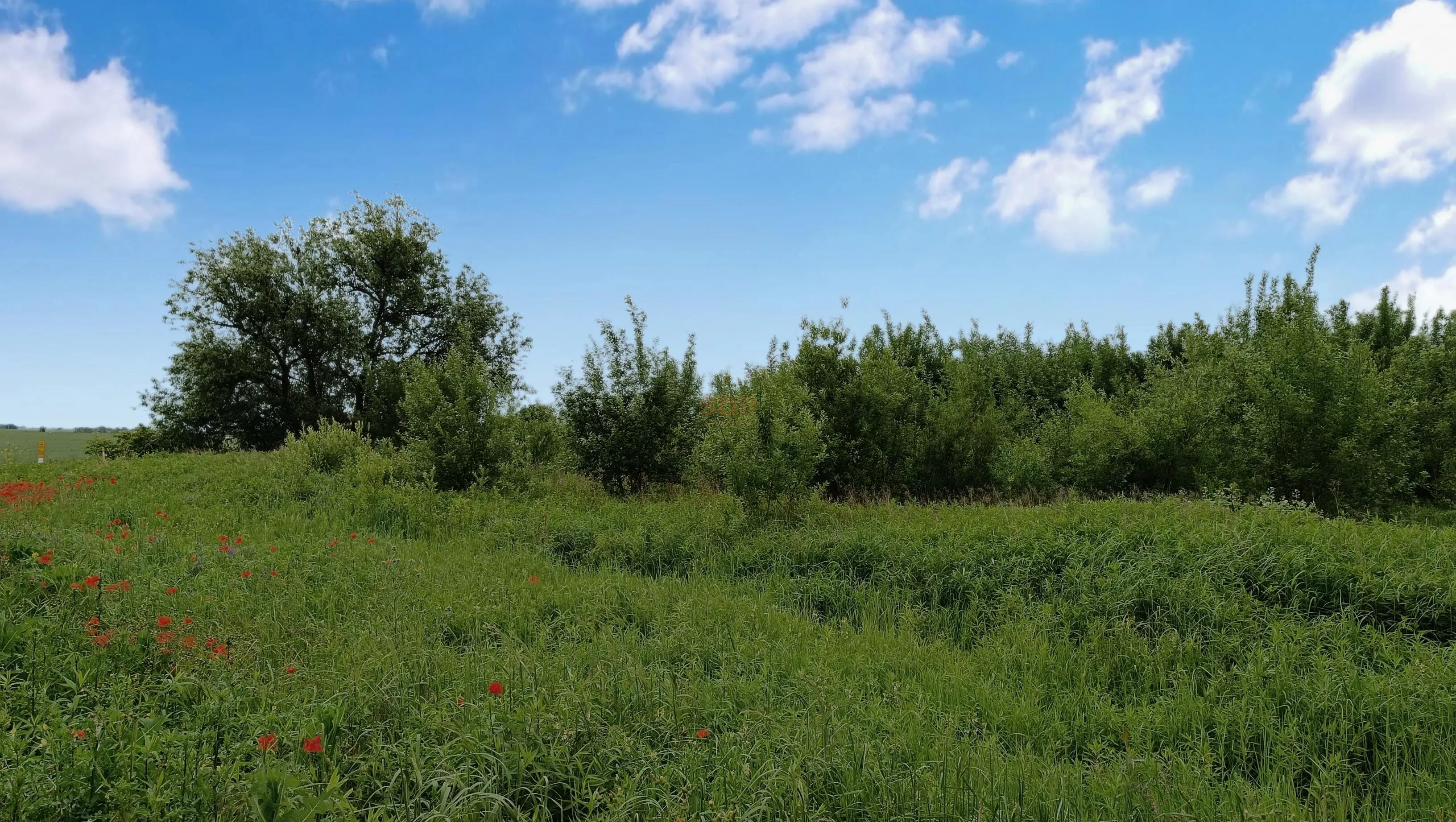 Działka 1 105,00 m², oferta nr , 42353, Kiełczów, Polna