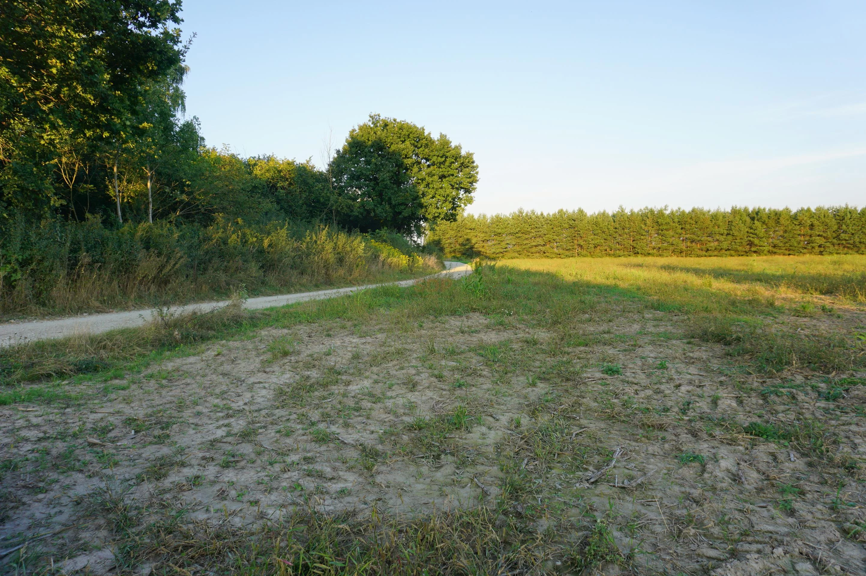Działka 15 000,00 m², oferta nr , 24513, Ramiszów