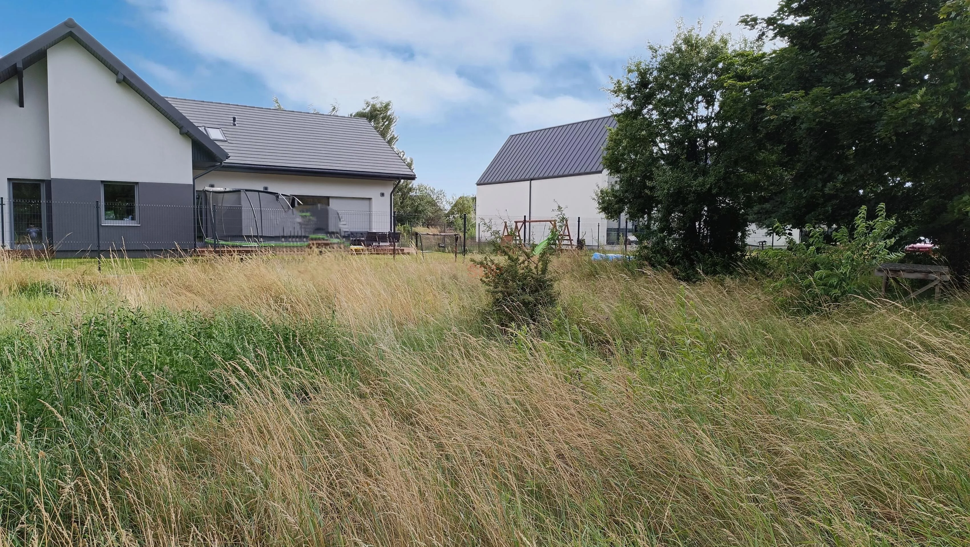 42060 - zdjęcie nr 4
