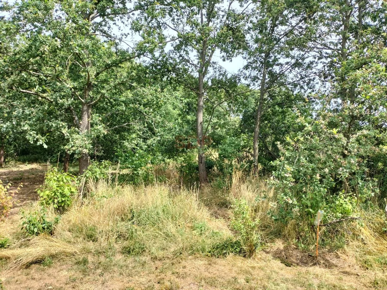 Działka 14 708,00 m², oferta nr , 31795, Rościsławice