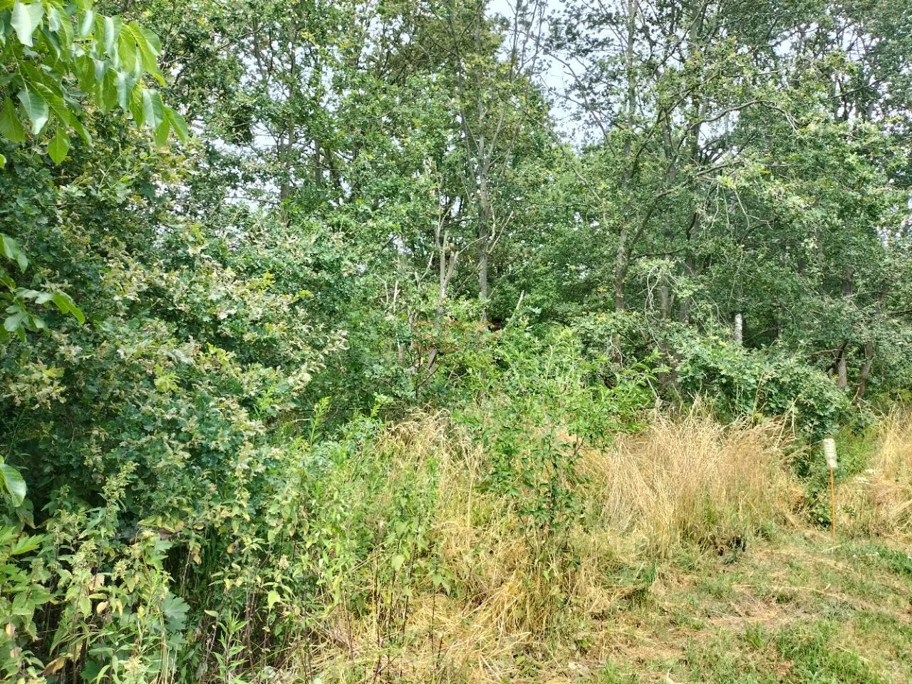 Działka 14 708,00 m², oferta nr , 31795, Rościsławice