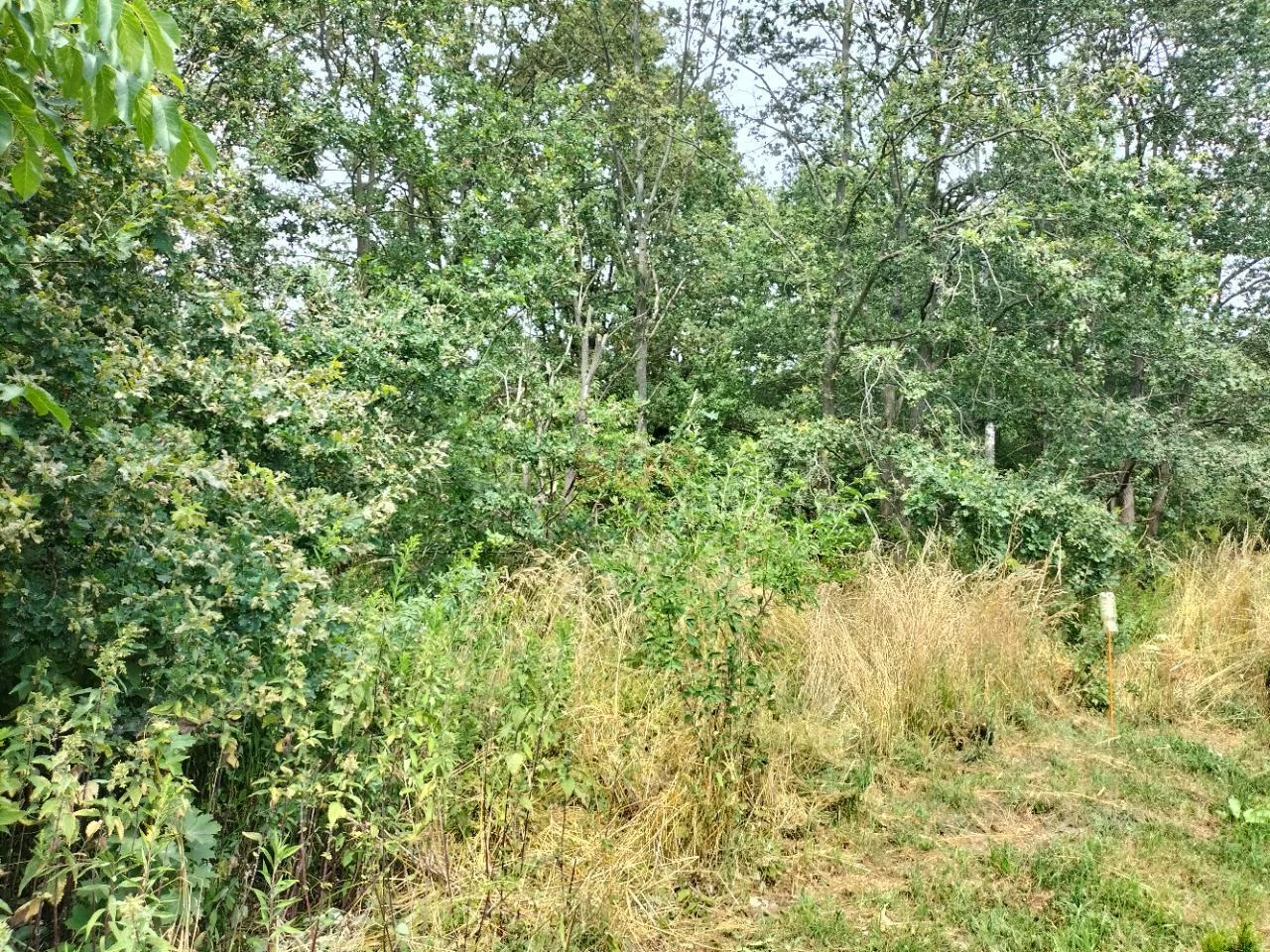 Działka 14 708,00 m², oferta nr , 31795, Rościsławice