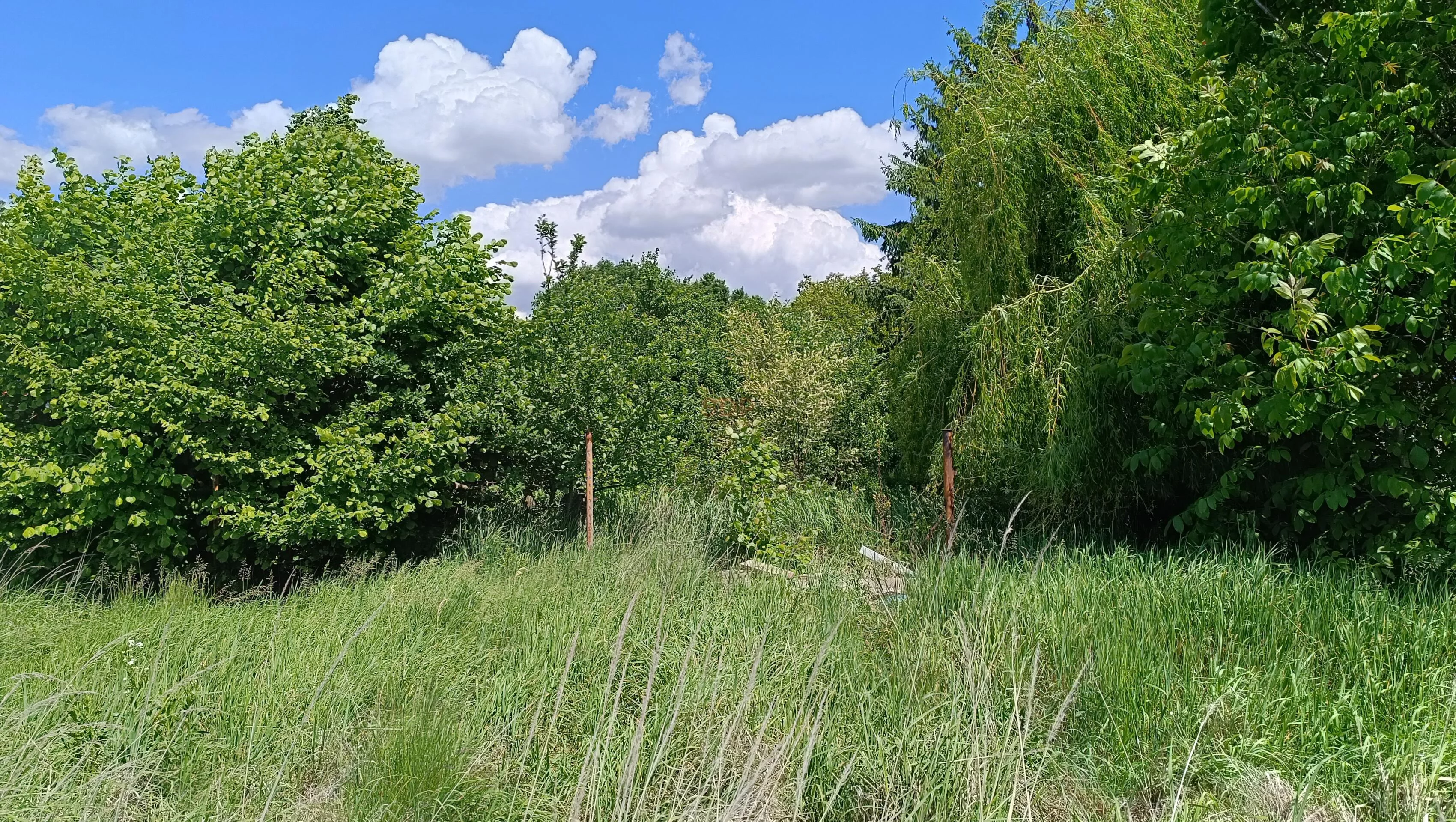 Działka 2 299,00 m², oferta nr , 41682, Ścinawa