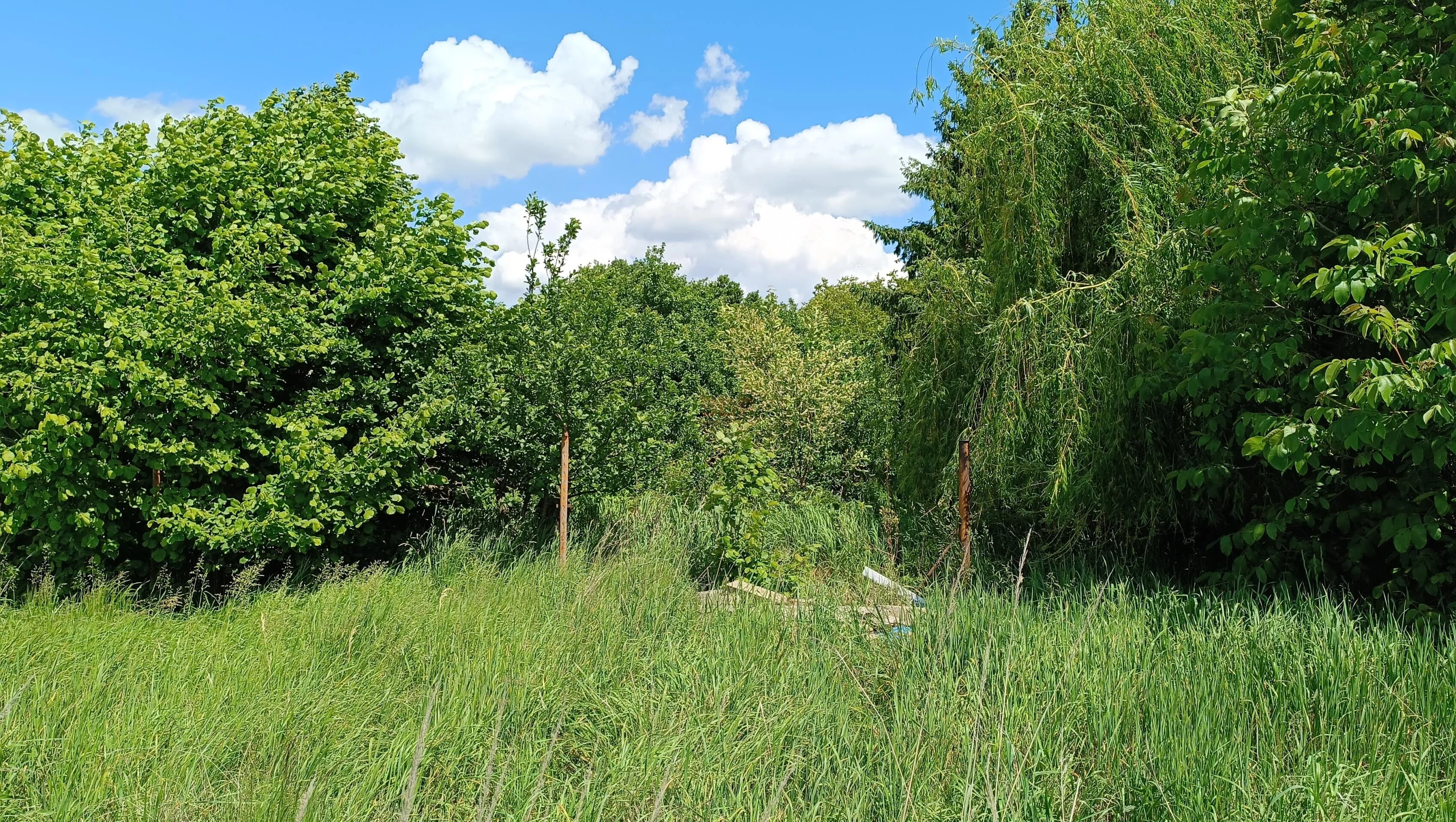 Działka 2 299,00 m², oferta nr , 41682, Ścinawa