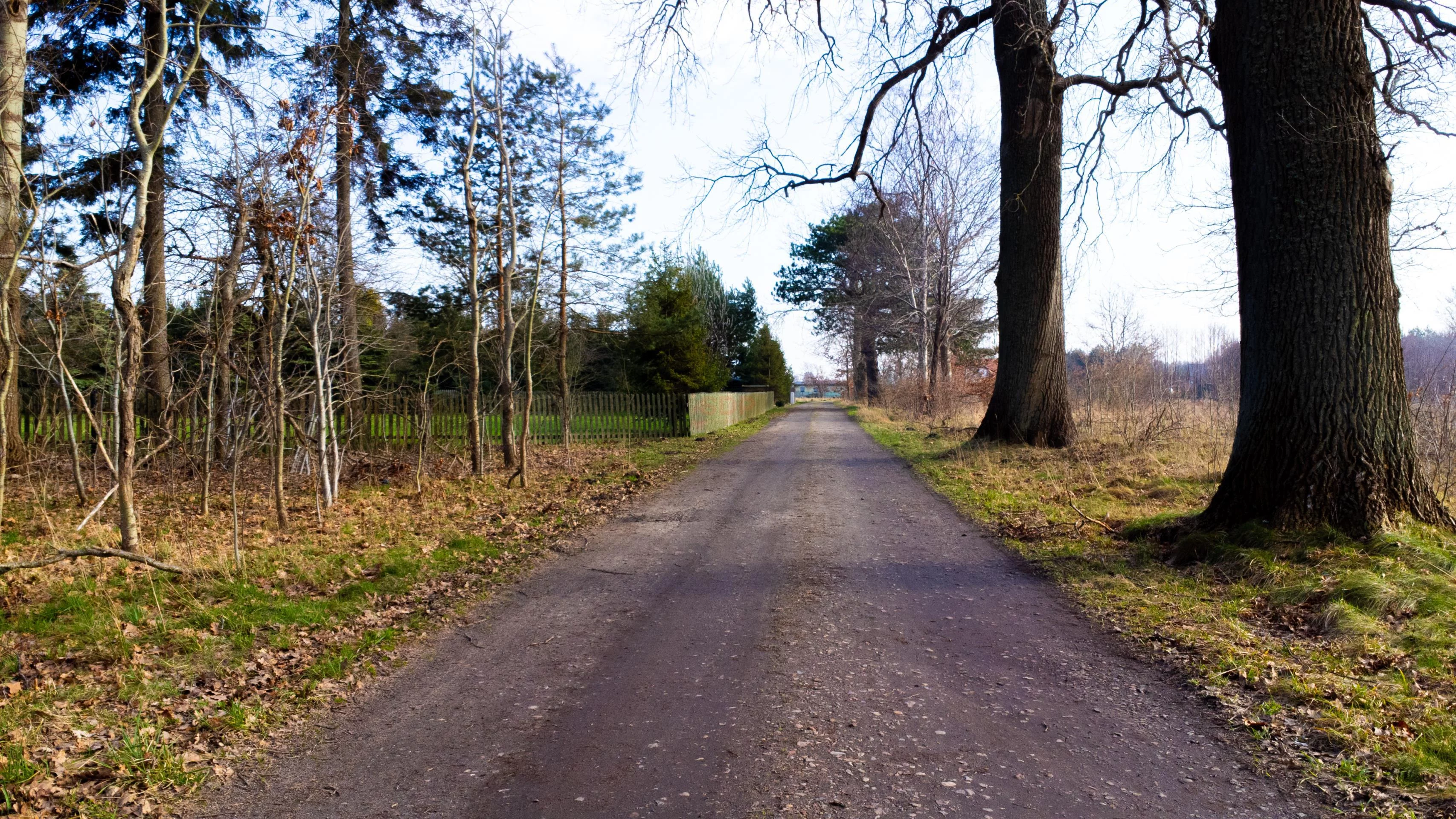 Działka 5 000,00 m², oferta nr , 35816, Słupsk