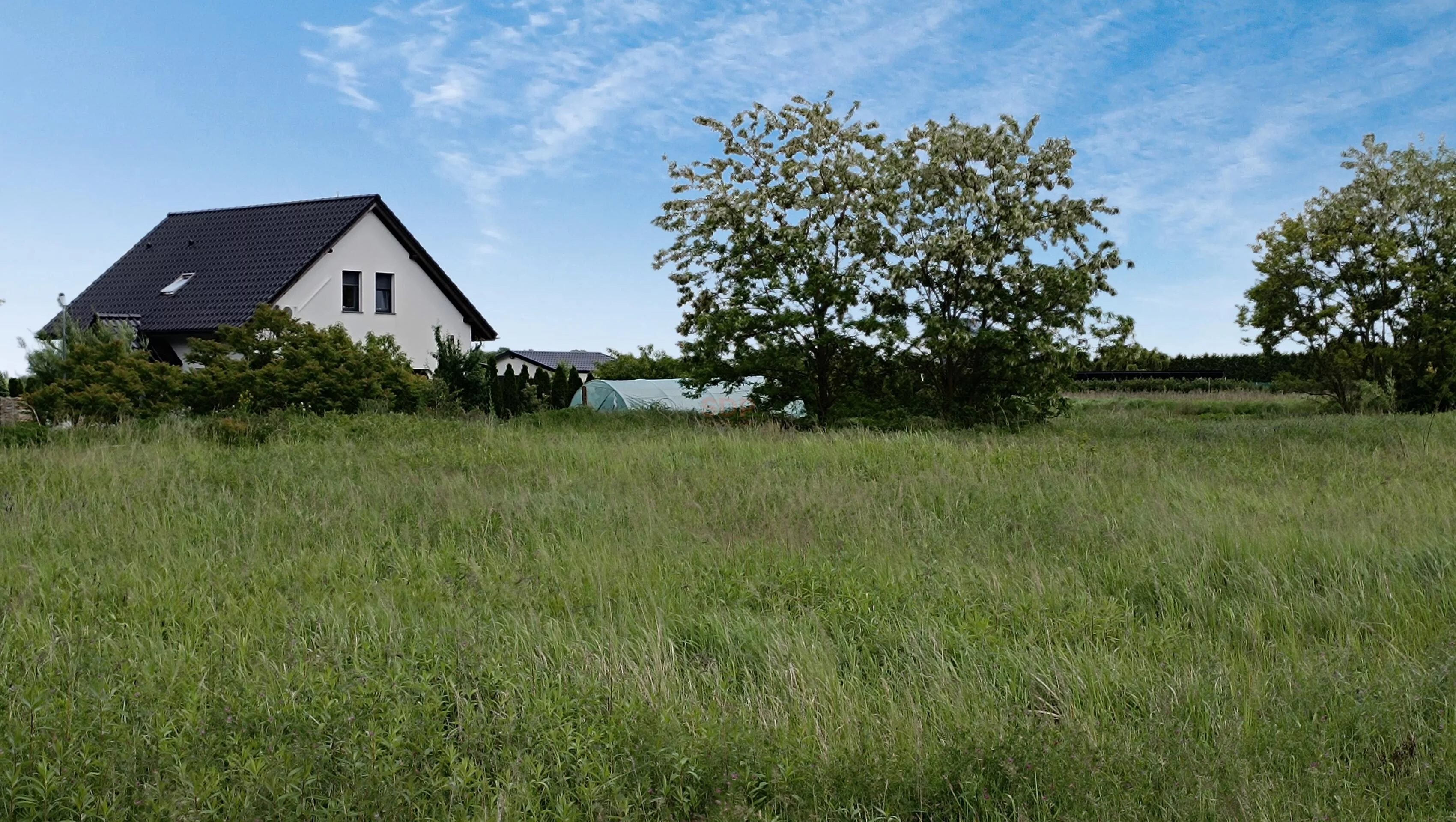 41632 - zdjęcie nr 1