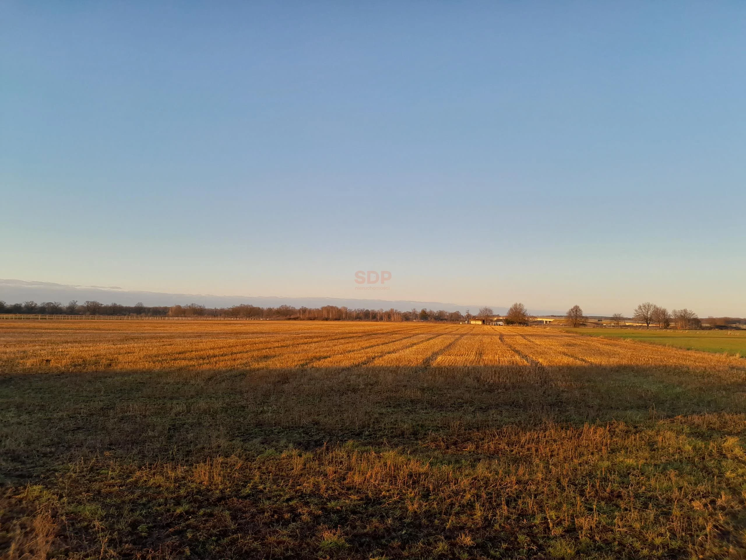 Działka 10 900,00 m², oferta nr , 38200, Brzeg Dolny, Średzka