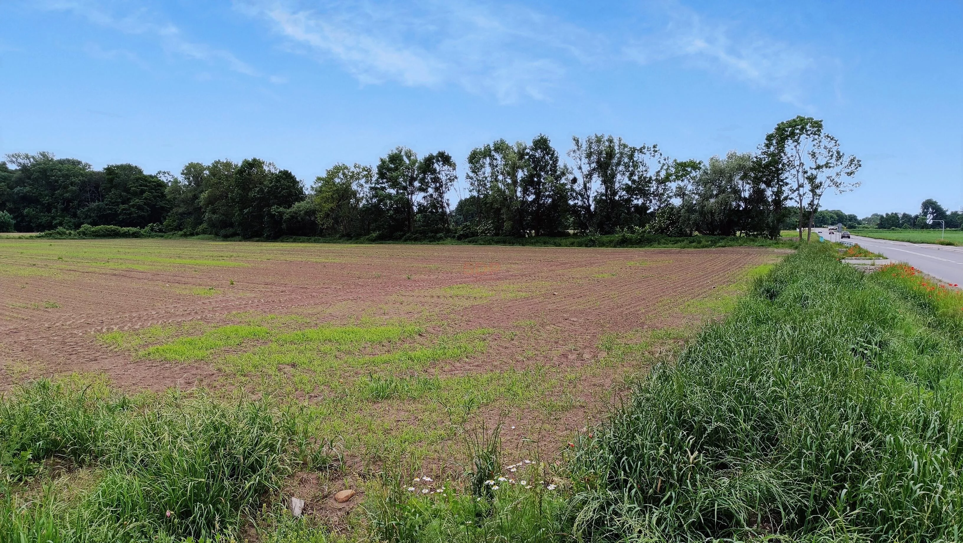 Działka 9 000,00 m², oferta nr , 41793, Chrzanów, Szmaragdowa