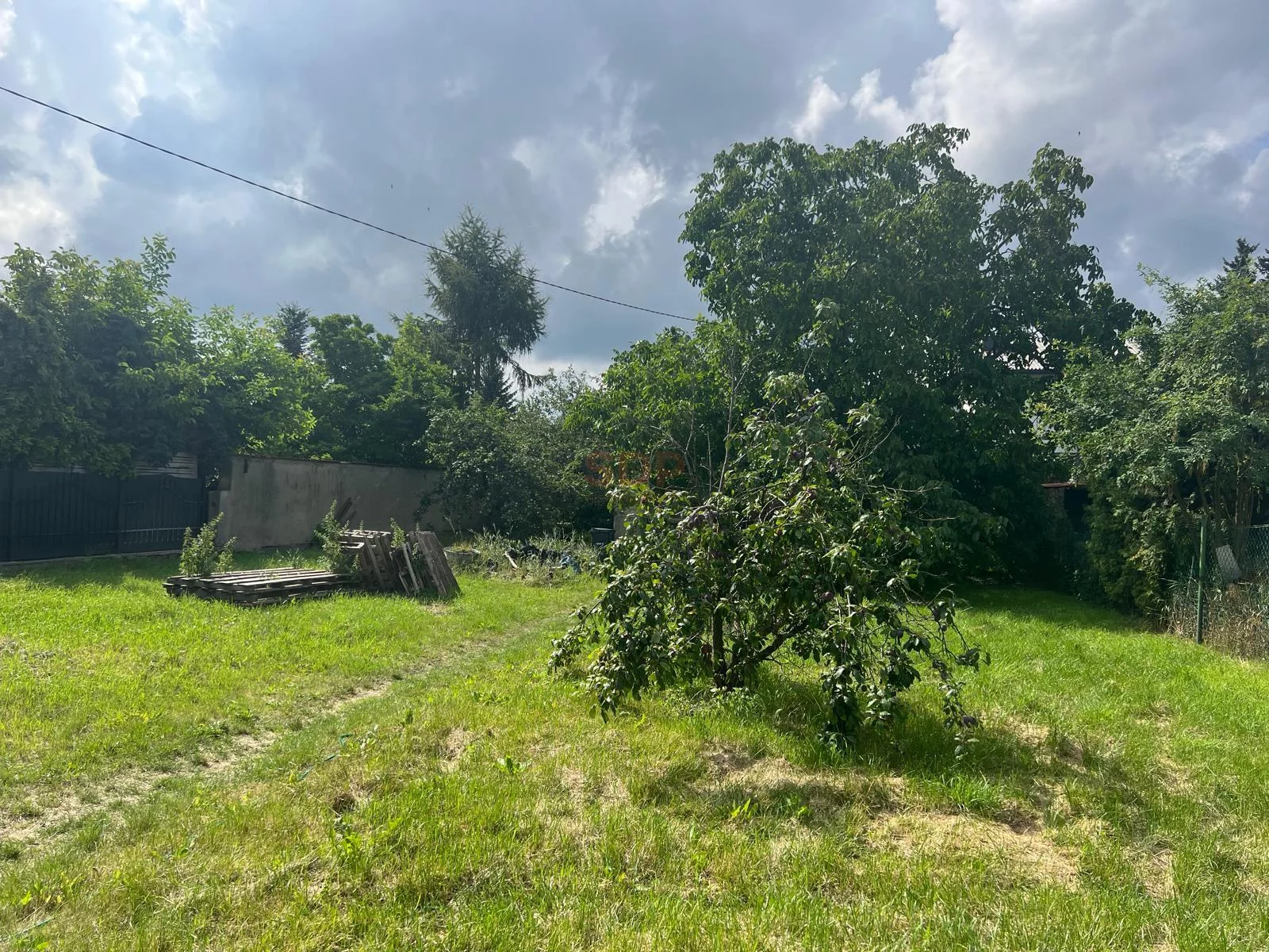42233 - zdjęcie nr 3