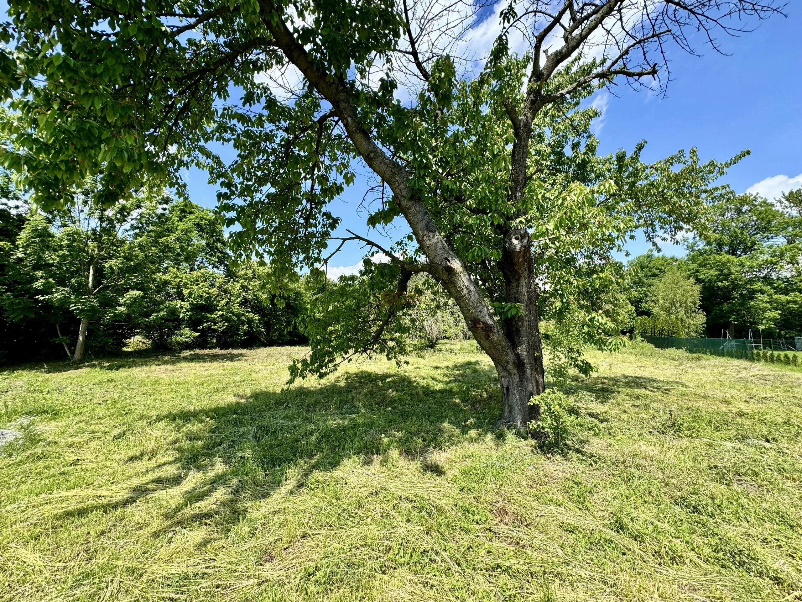 Działka 1 905,00 m², oferta nr , 42262, Zabardowice