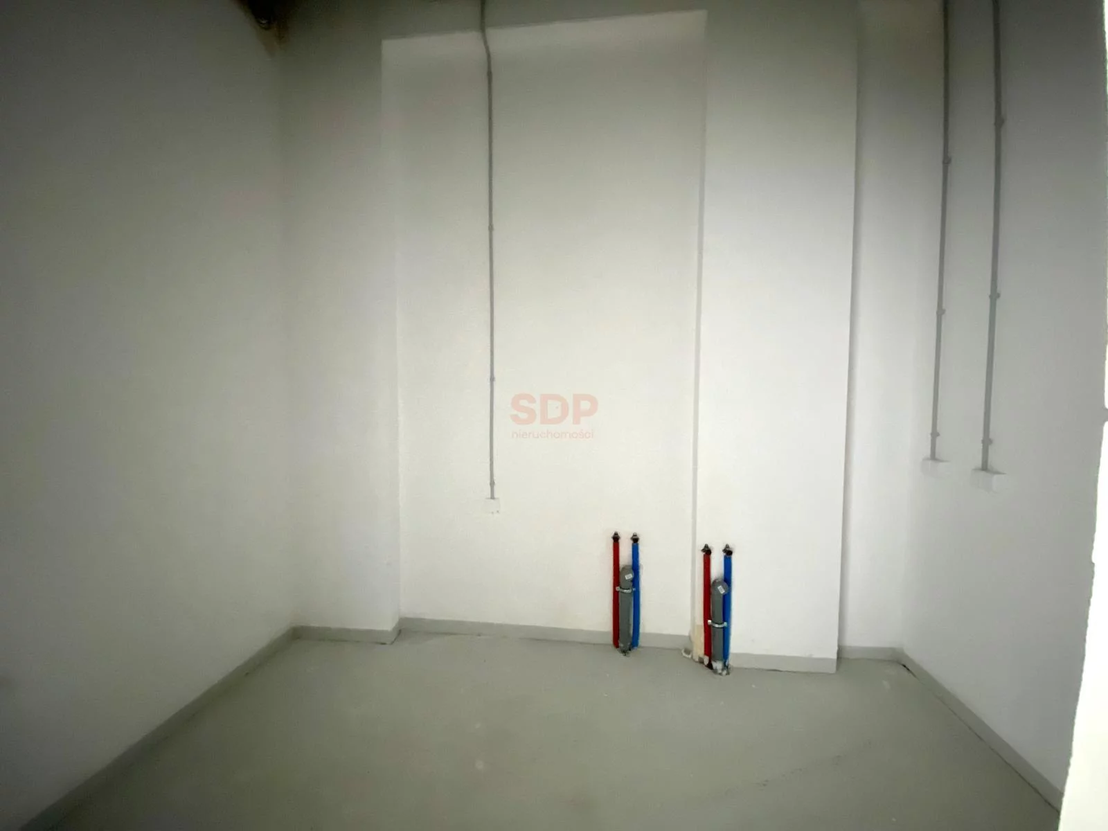 42269 - zdjęcie nr 3