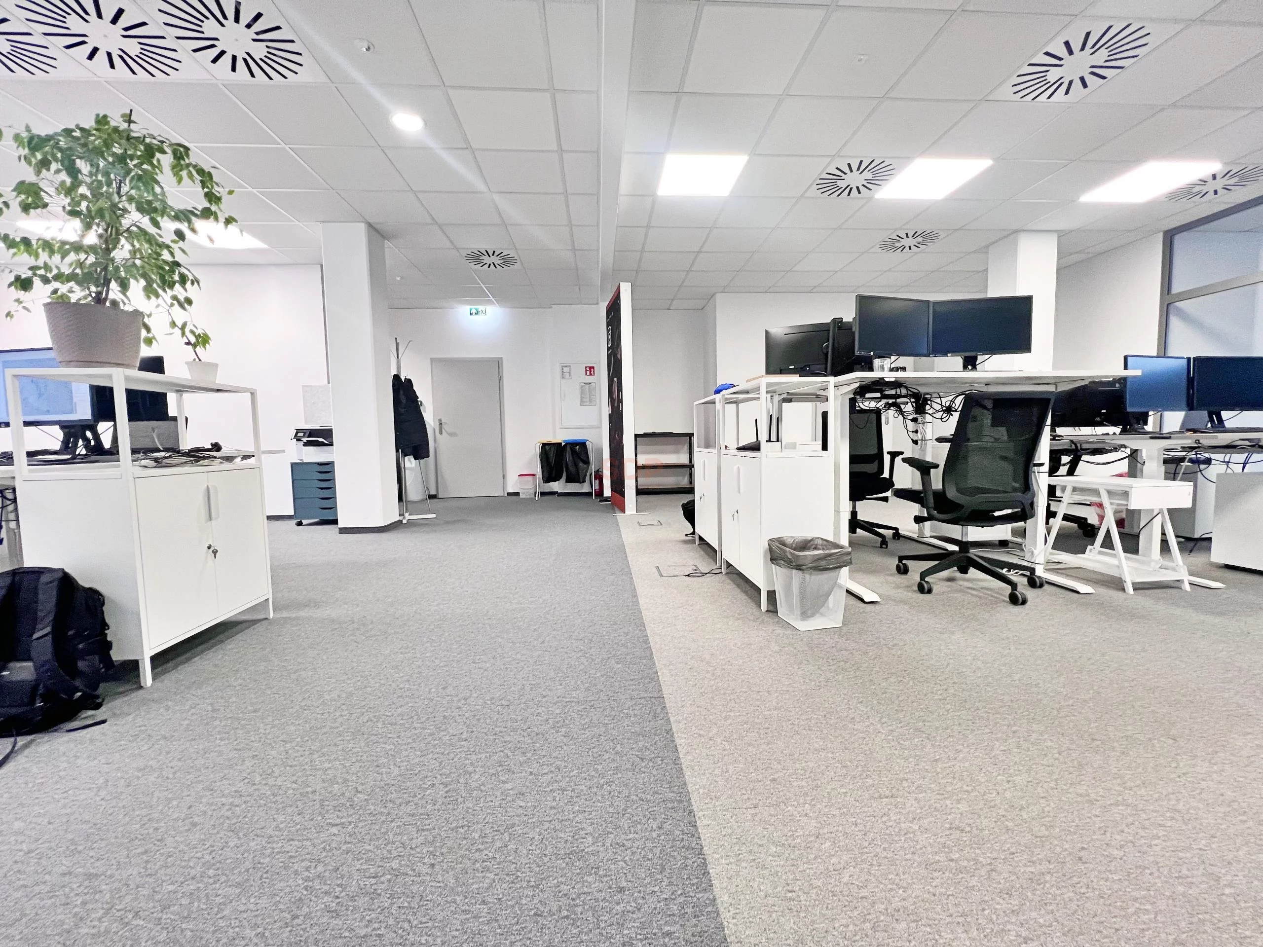 Biuro 256,50 m², oferta nr , 38572, Wrocław, Psie Pole-Zawidawie, Psie Pole, Długosza Jana