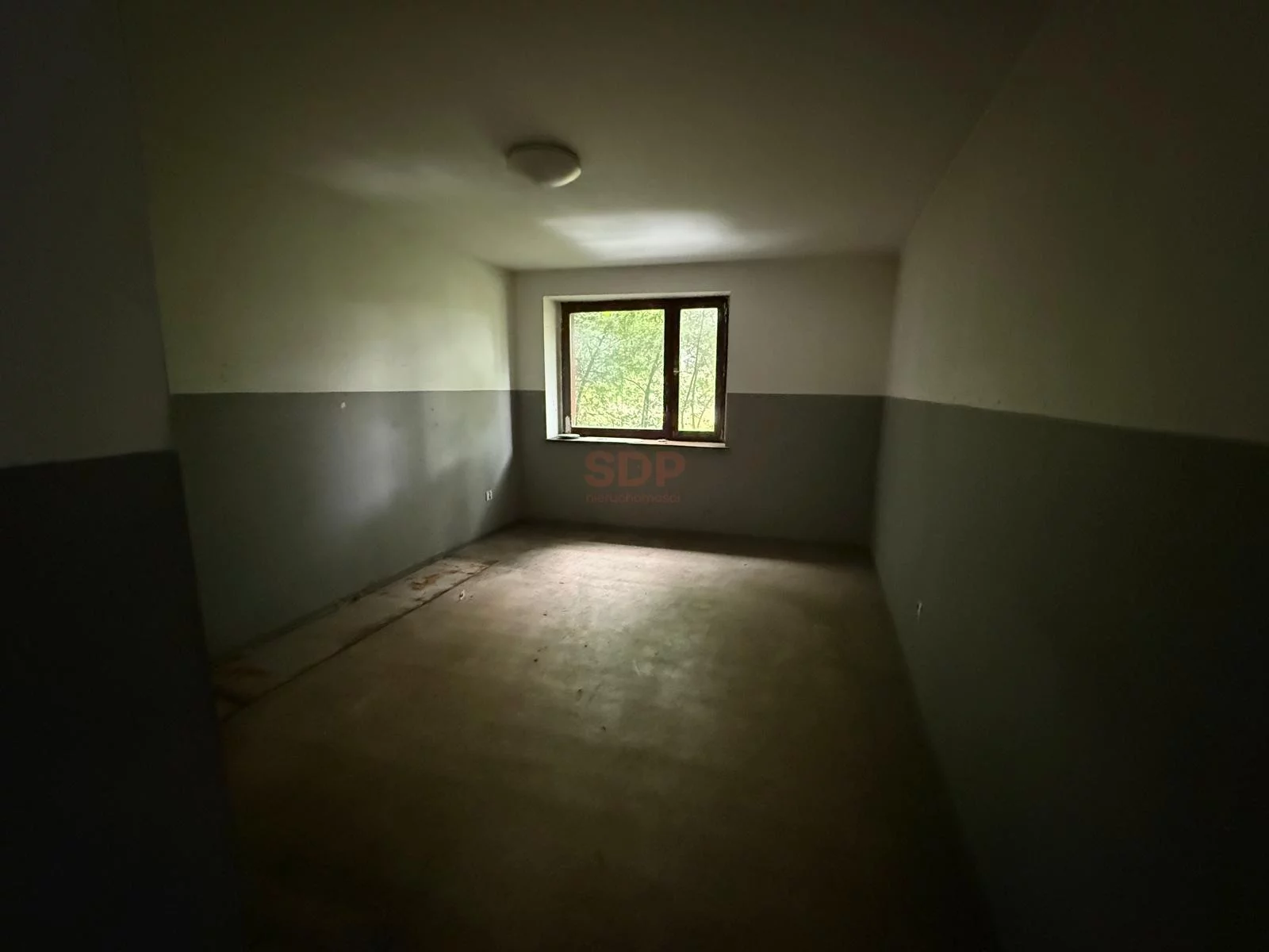 41857 - zdjęcie nr 0