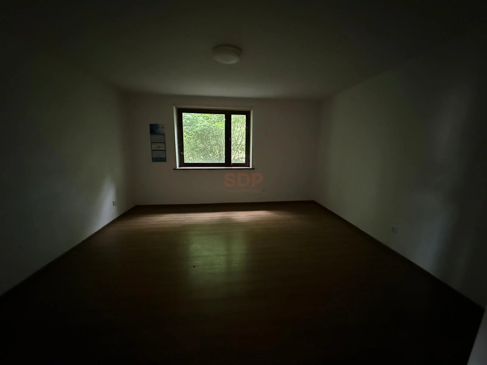 41857 - zdjęcie nr 2