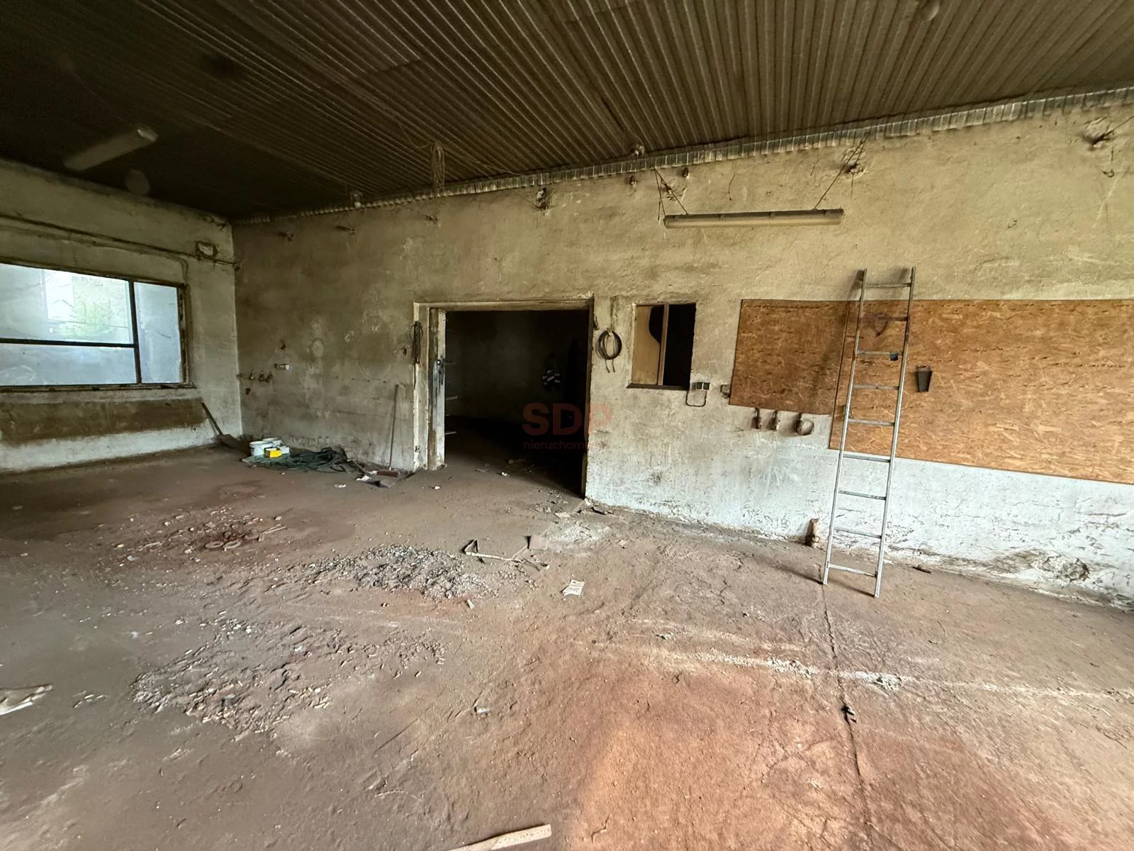 Lokal użytkowy 470,00 m², oferta nr , 41857, Domasław