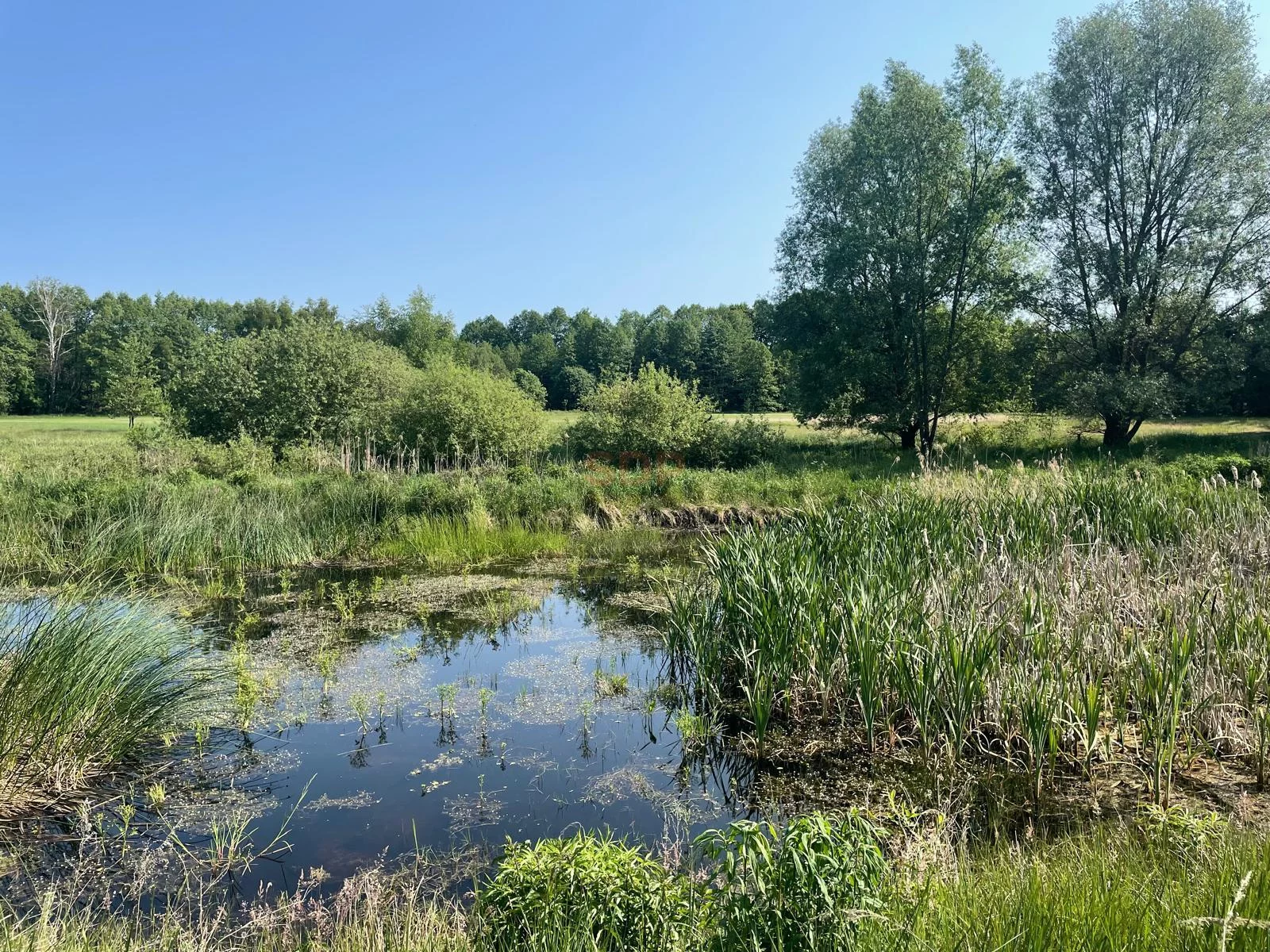 Lokal użytkowy 52 220,00 m², oferta nr , 41960, Jabłonka Stara, Jabłonka Stara