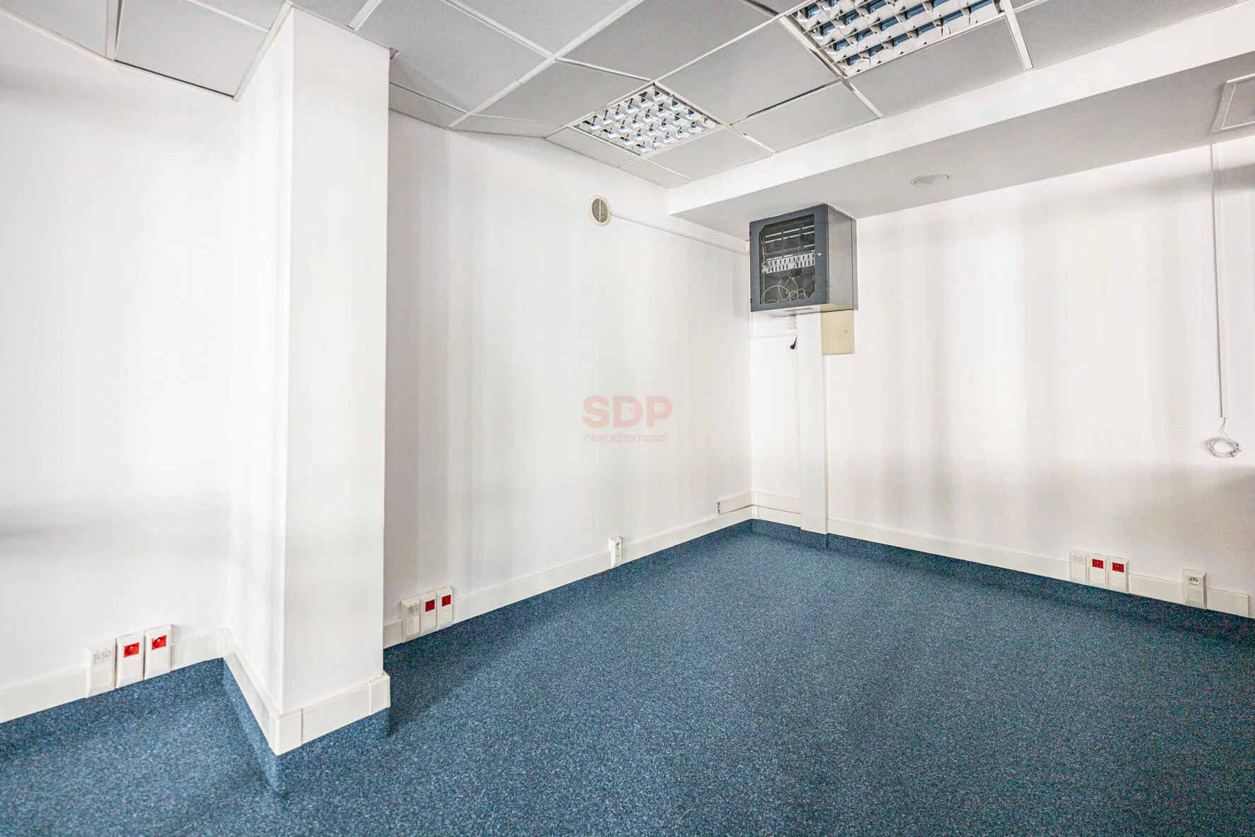 42247 - zdjęcie nr 4
