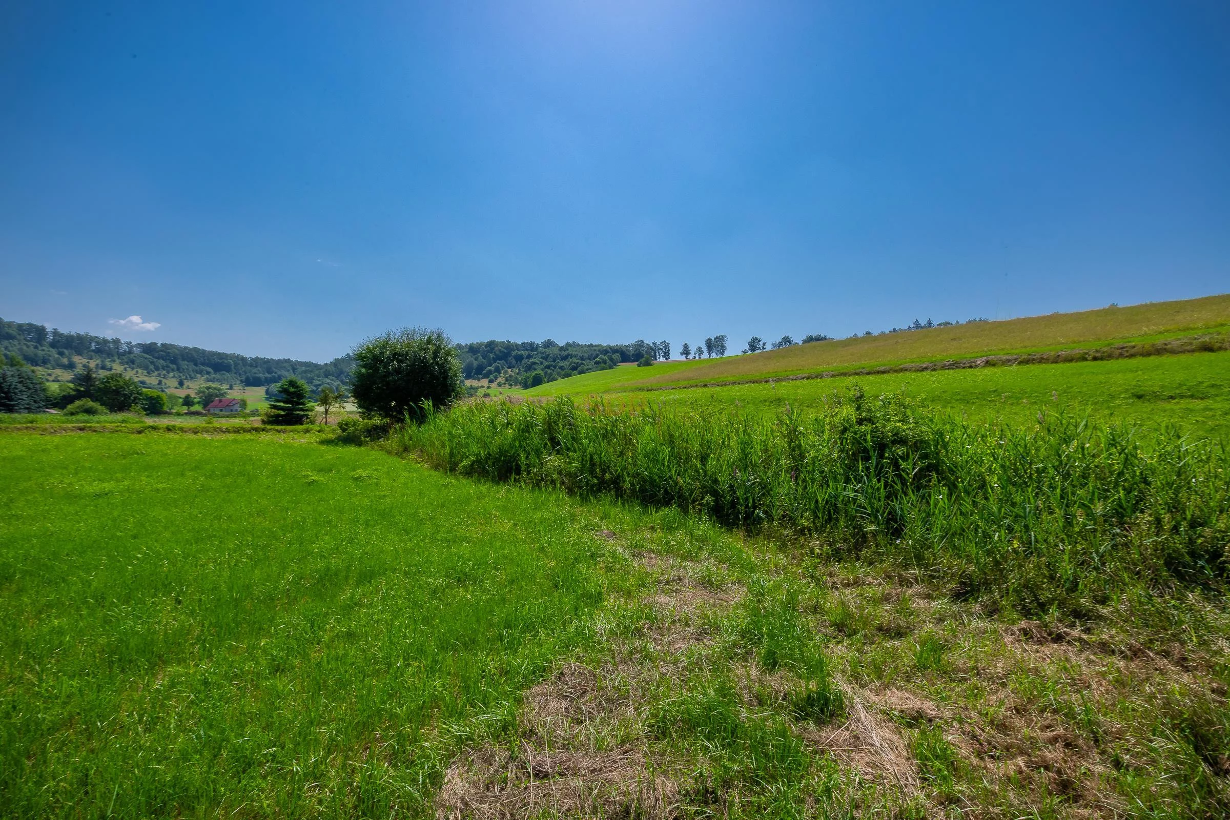 Lokal użytkowy 410,00 m², oferta nr , 36016, Kudowa-Zdrój