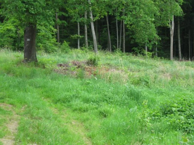 Lokal użytkowy 1 351,00 m², oferta nr , 30371, Kuropatnik