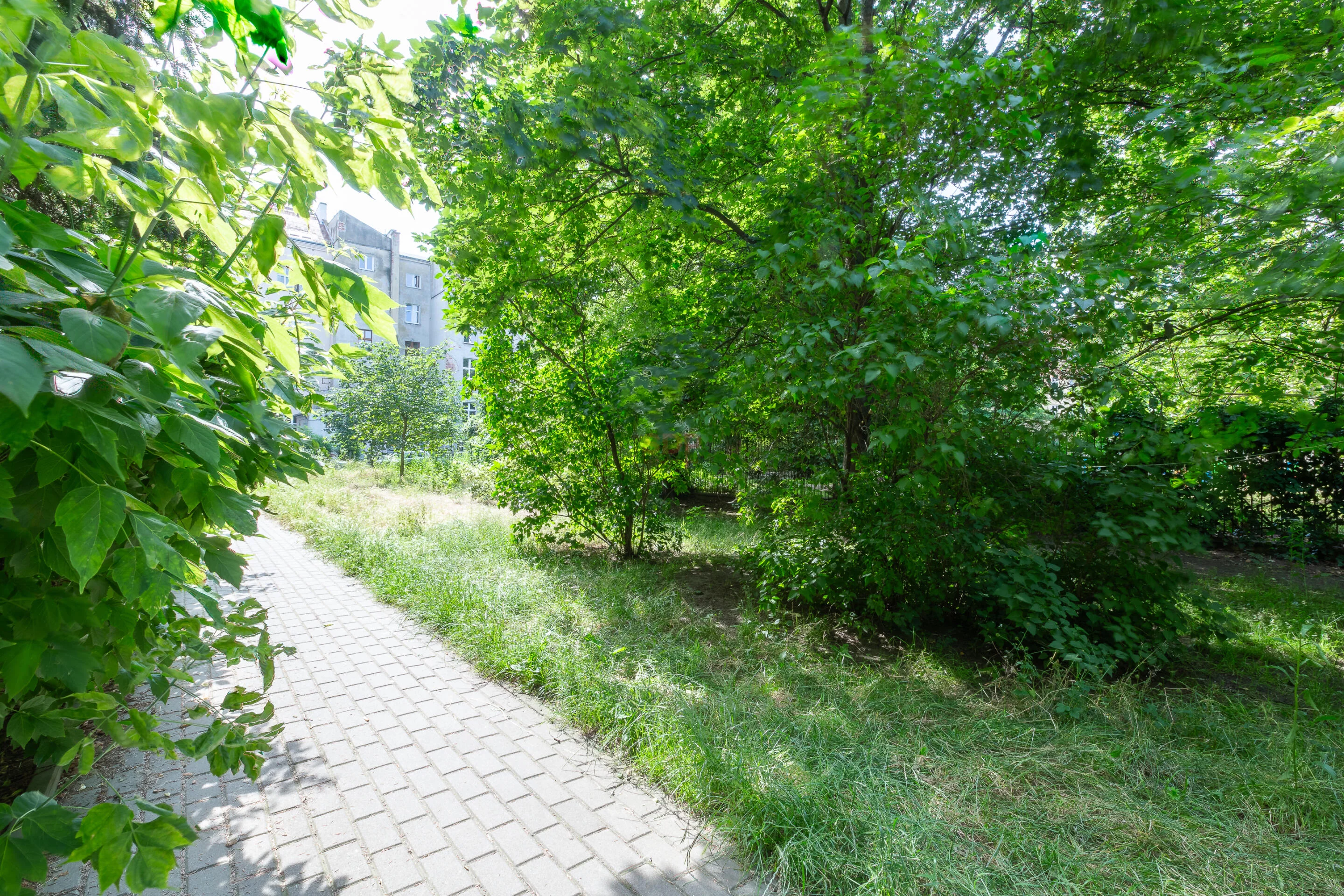 Biuro 59,48 m², oferta nr , 42486, Wrocław, Stare Miasto, Plac Muzealny