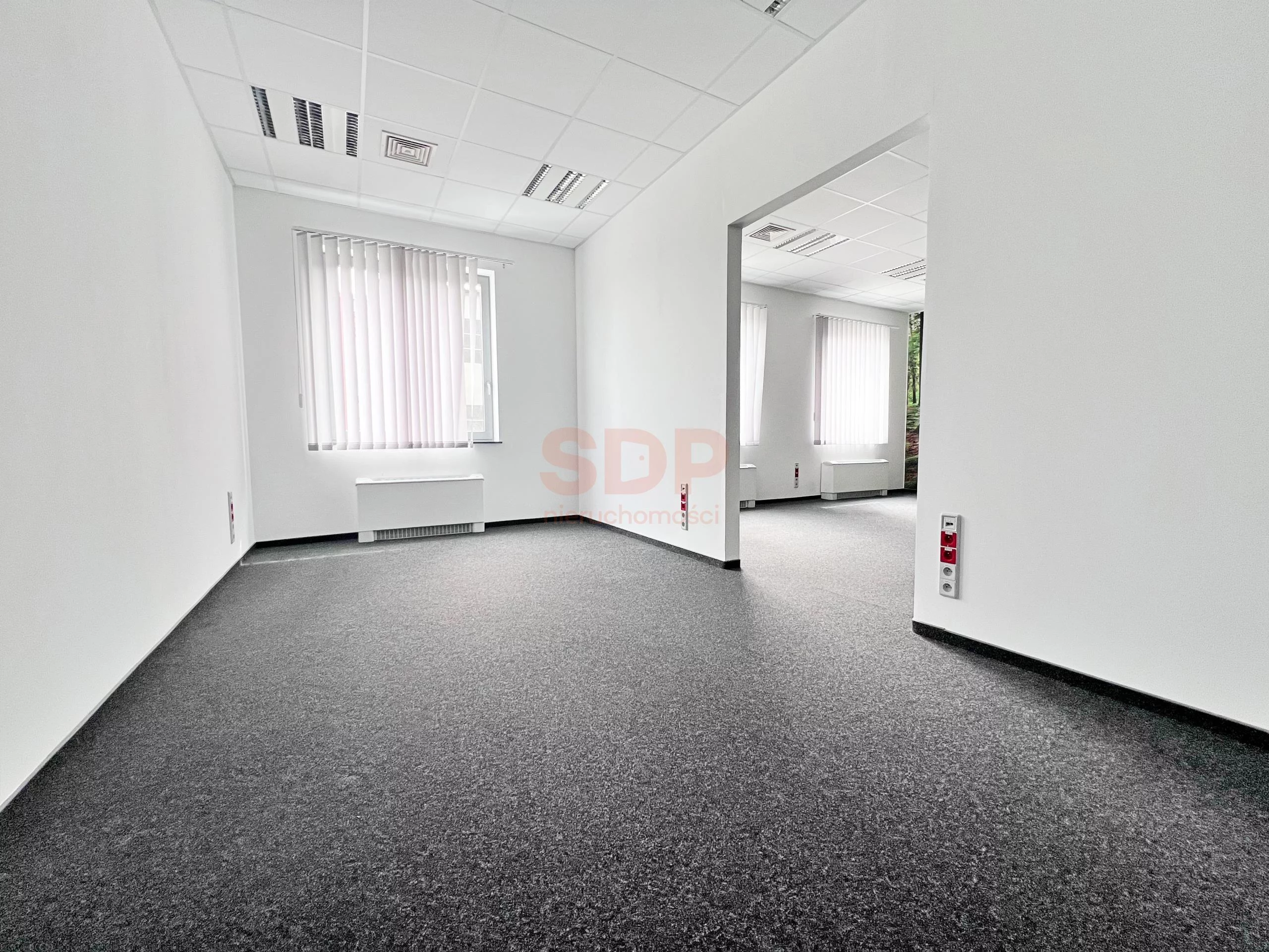 39538 - zdjęcie nr 1