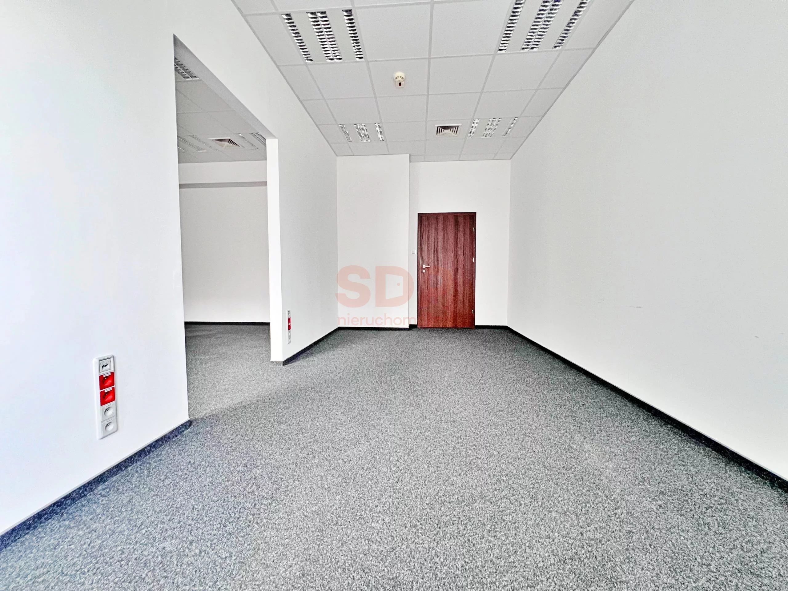 39623 - zdjęcie nr 3