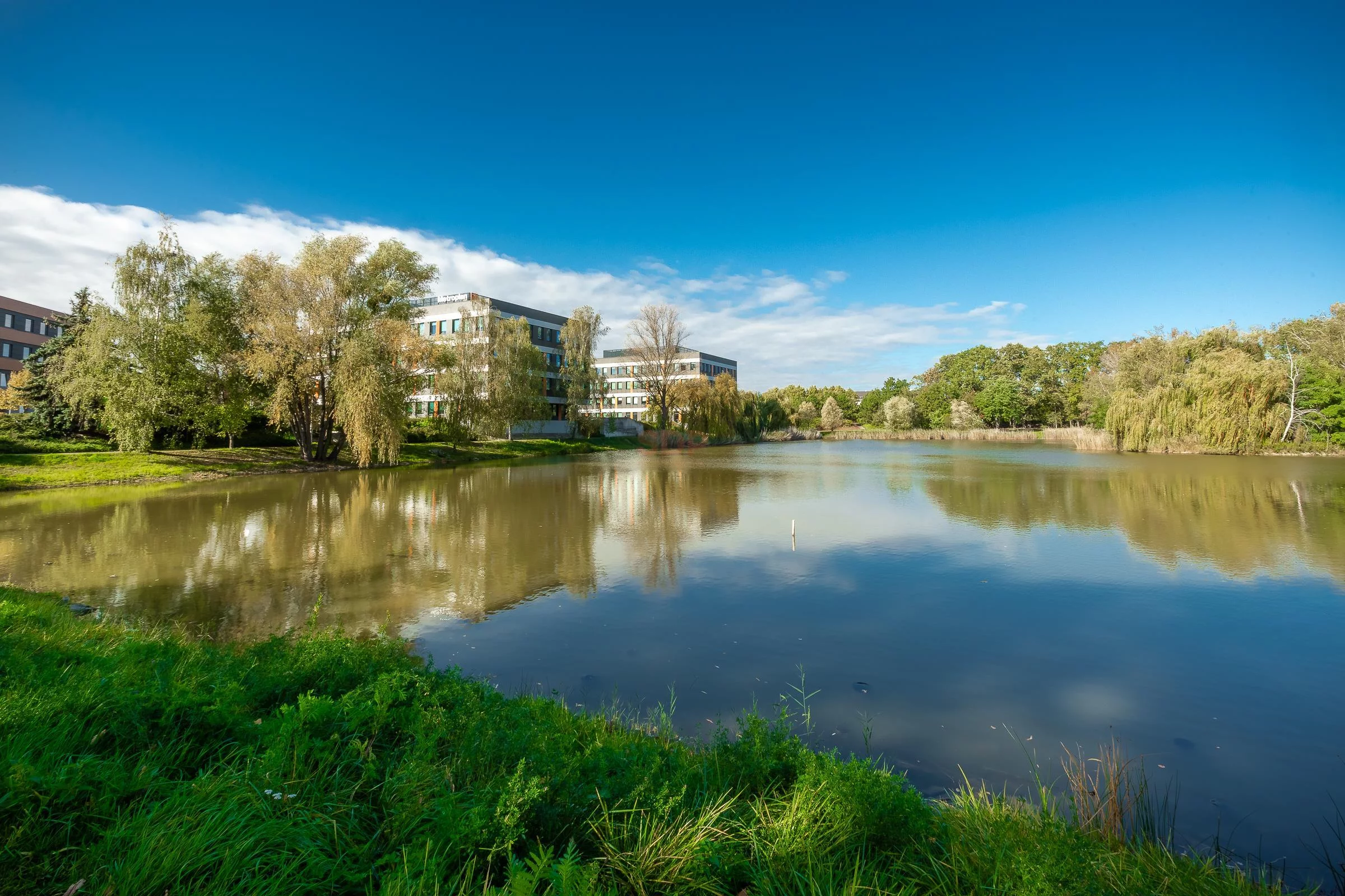 Biuro 94,80 m², oferta nr , 39623, Wrocław, Krzyki-Partynice, Krzyki, Racławicka