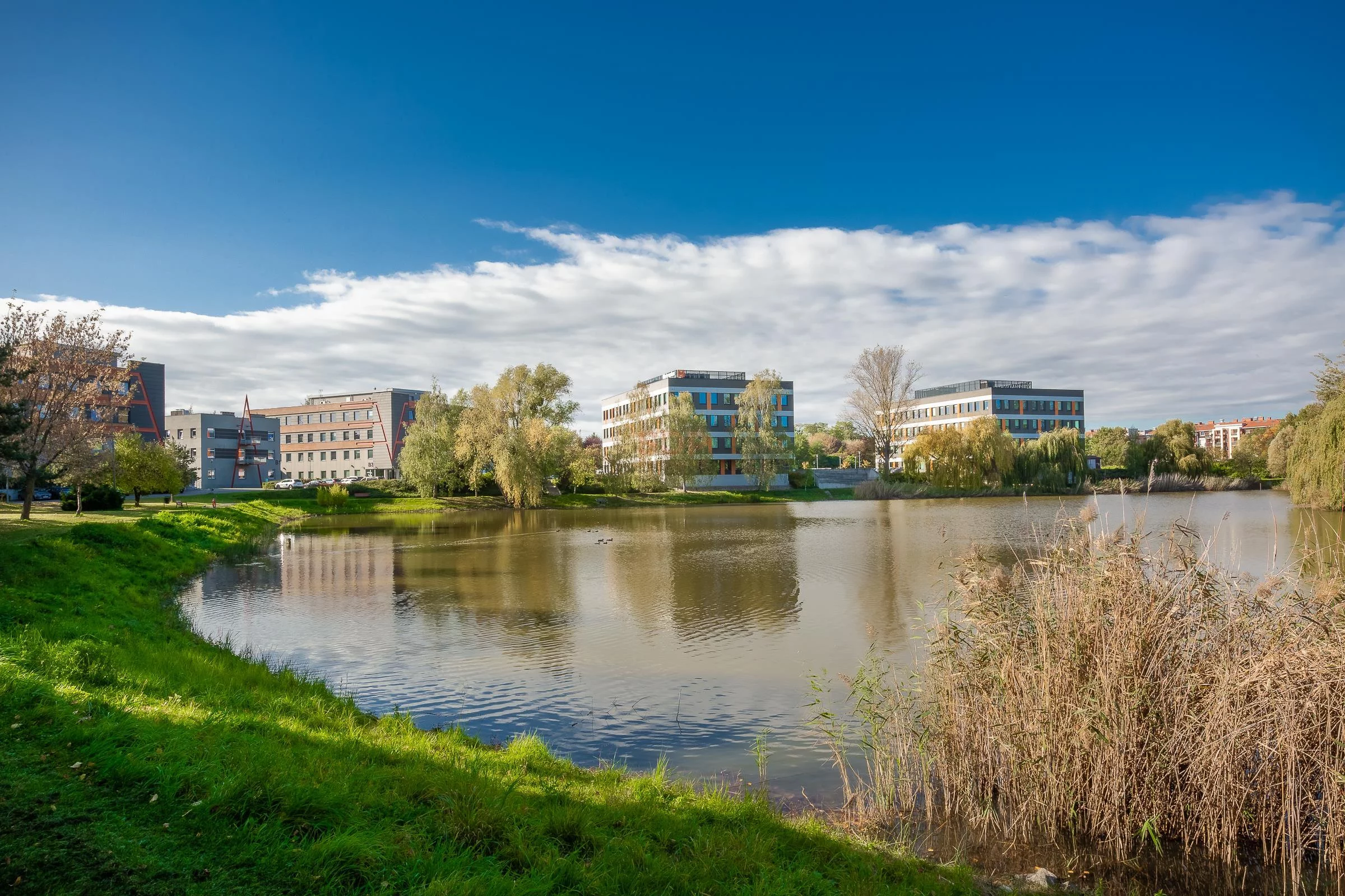 Biuro 94,80 m², oferta nr , 39623, Wrocław, Krzyki-Partynice, Krzyki, Racławicka