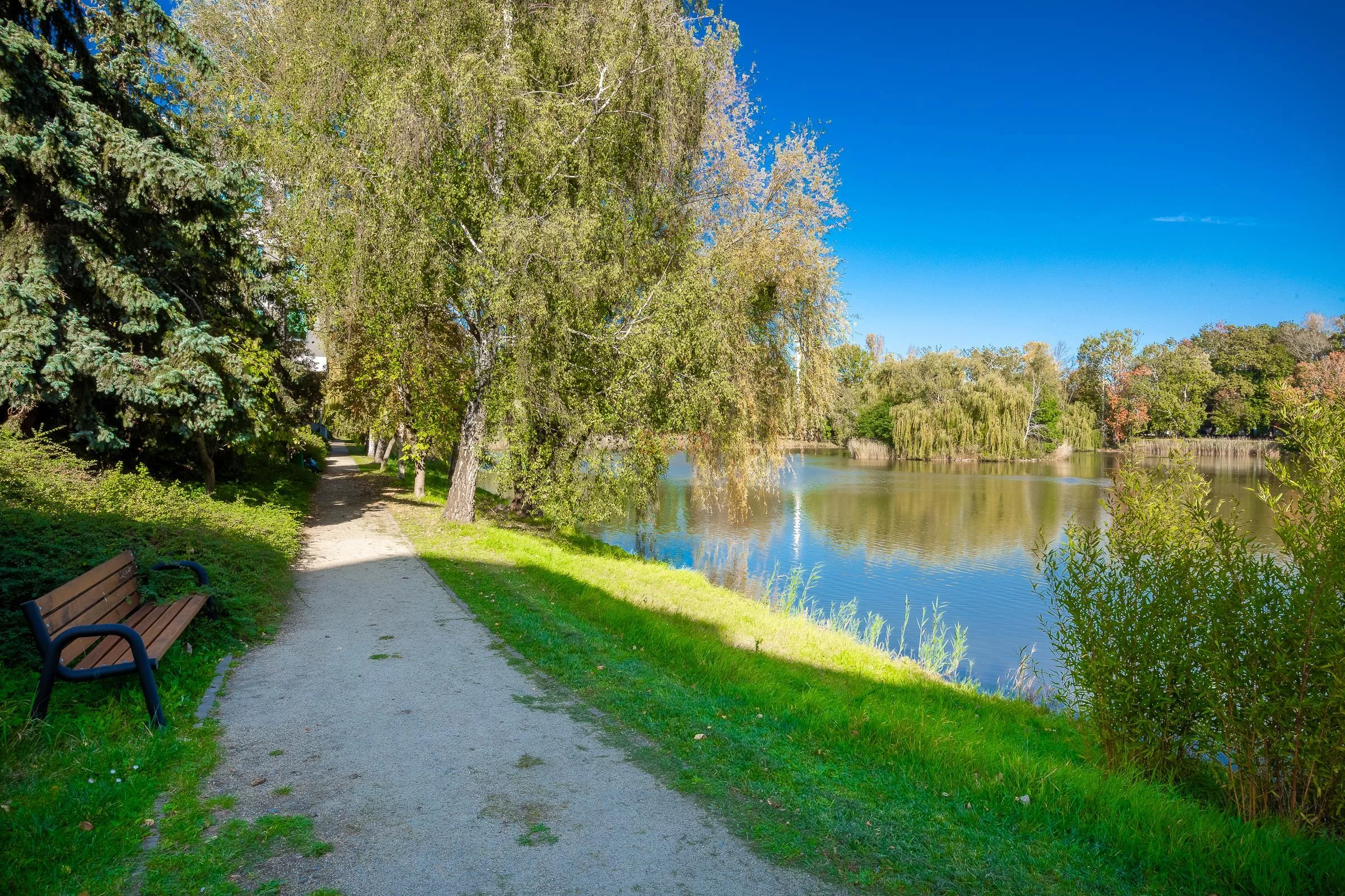 Biuro 94,80 m², oferta nr , 39623, Wrocław, Krzyki-Partynice, Krzyki, Racławicka