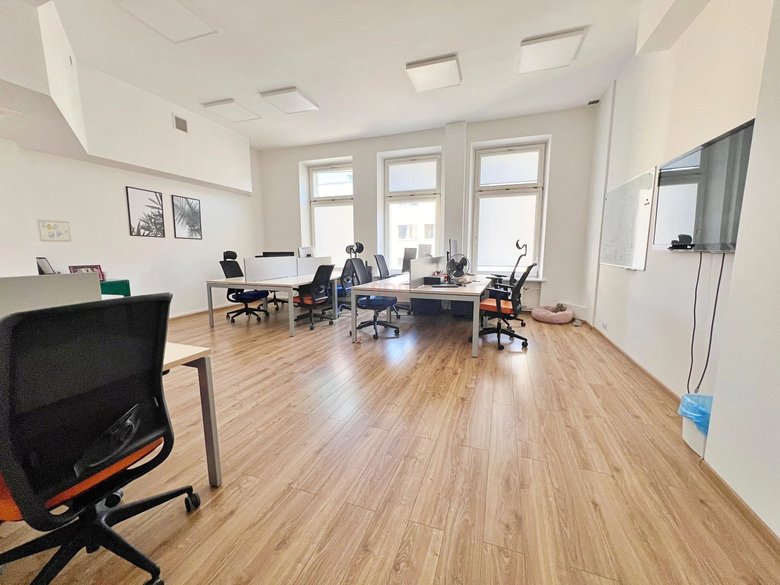 Biuro 587,00 m², oferta nr , 35346, Wrocław, Stare Miasto, Rynek